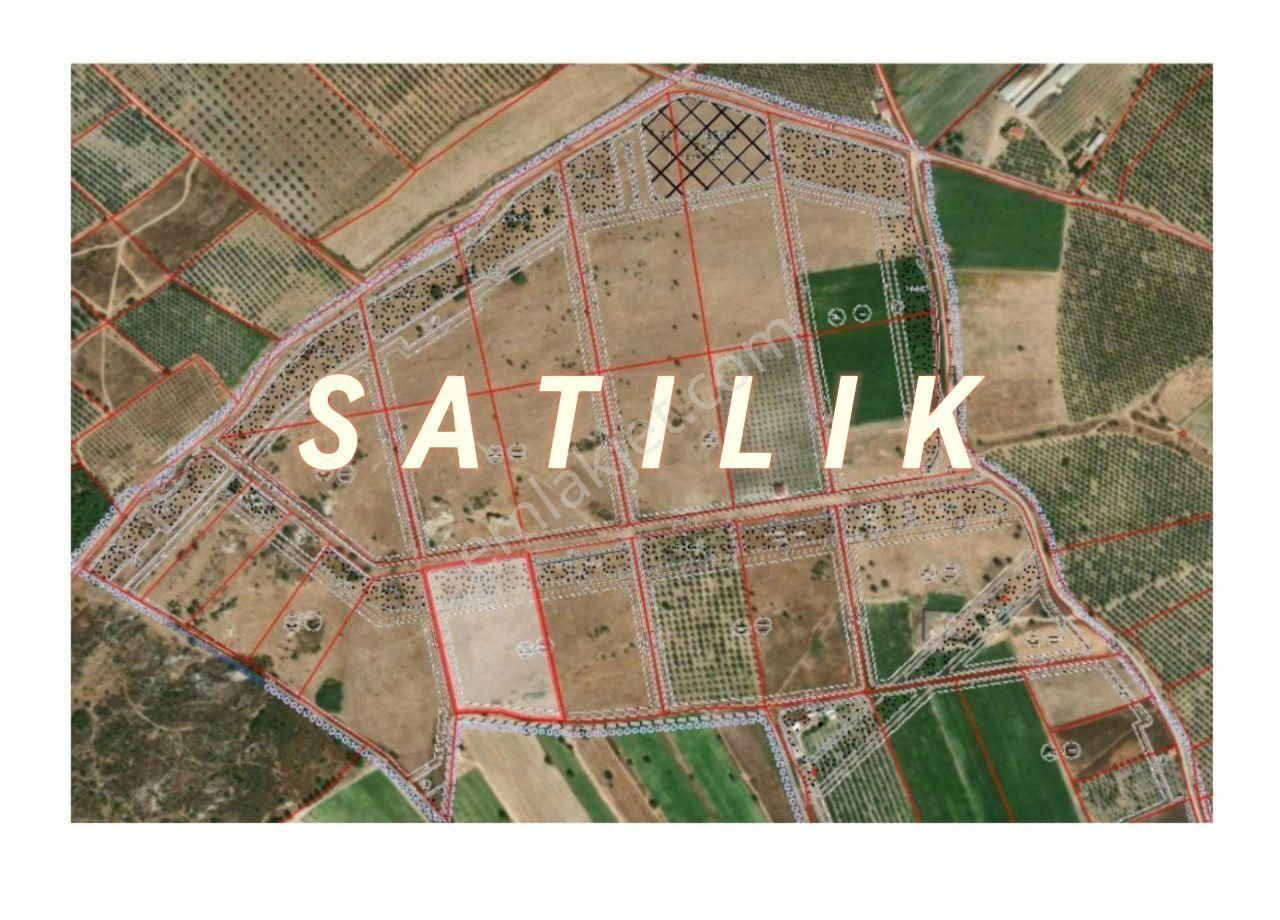 Dikili Çandarlı Satılık Tarla İzmir Dikili Çandarlıda Acil Satılık İmarlıbölgede 15274m2 Tarla