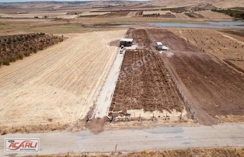 Kilis Merkez Küplüce Köyü Satılık Bağ & Bahçe Küplüce Baraja Sıfır Bagevi