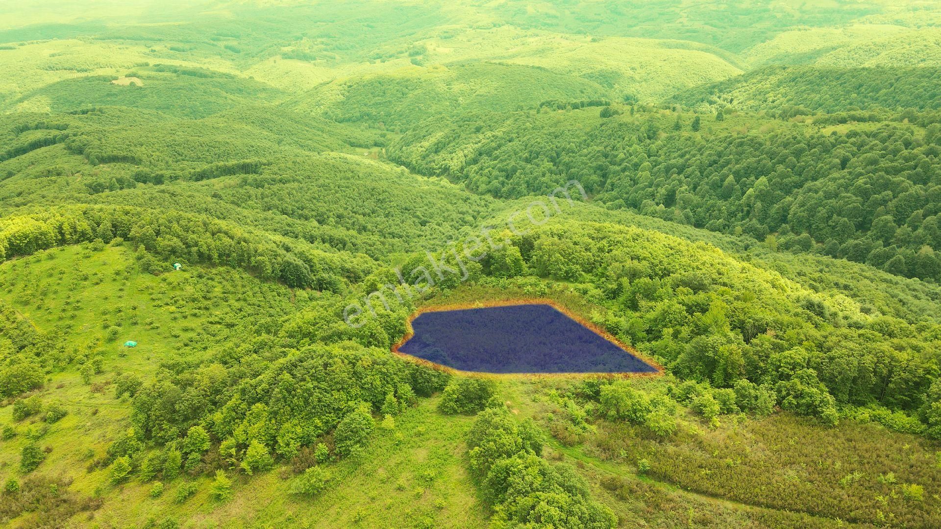 Kandıra Teksen Satılık Tarla 