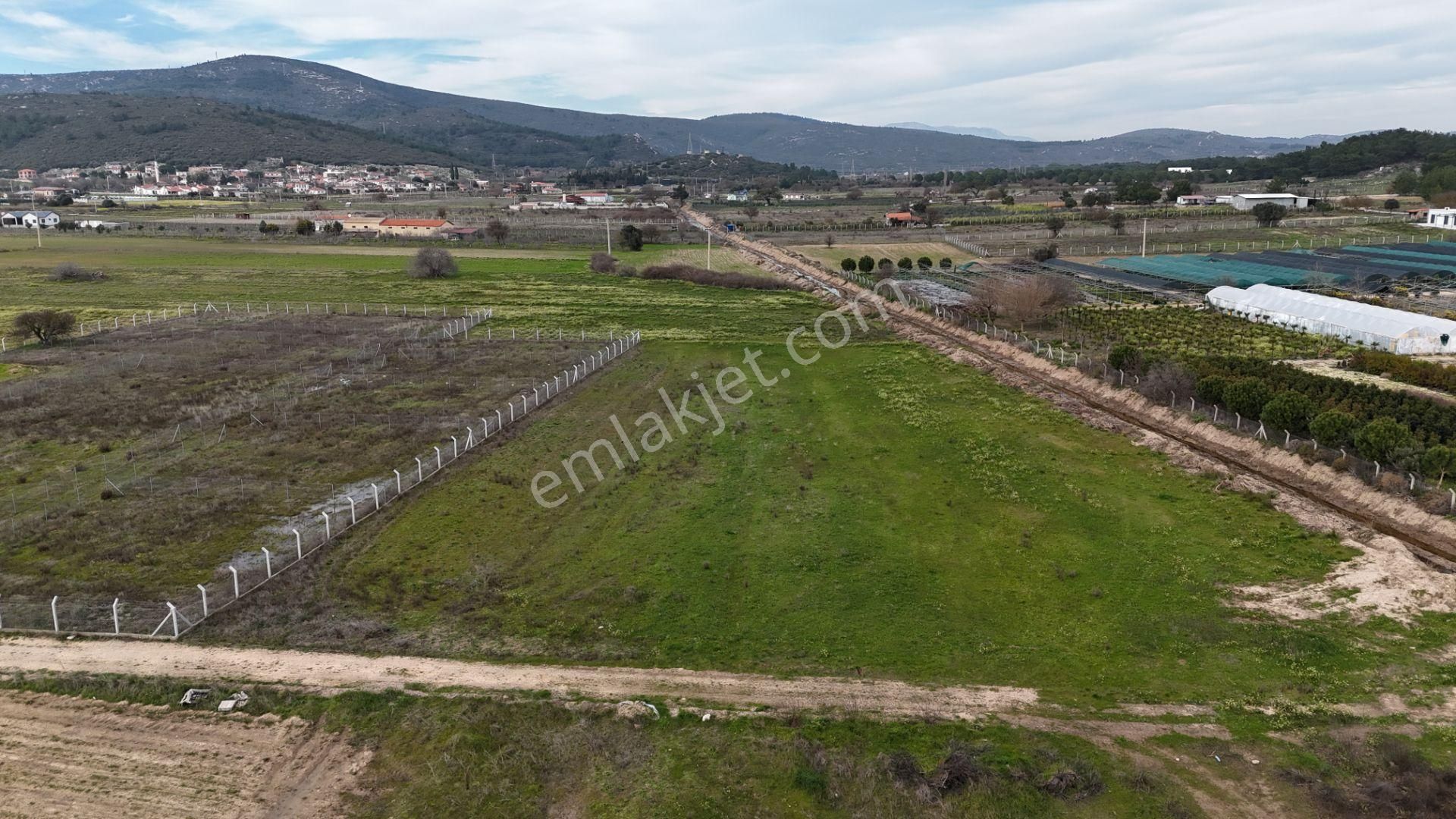 Urla Birgi Satılık Tarla Urla Birgi Köyü'nde Resmi Yolu Mevcut, Dere Cepheli Tarla