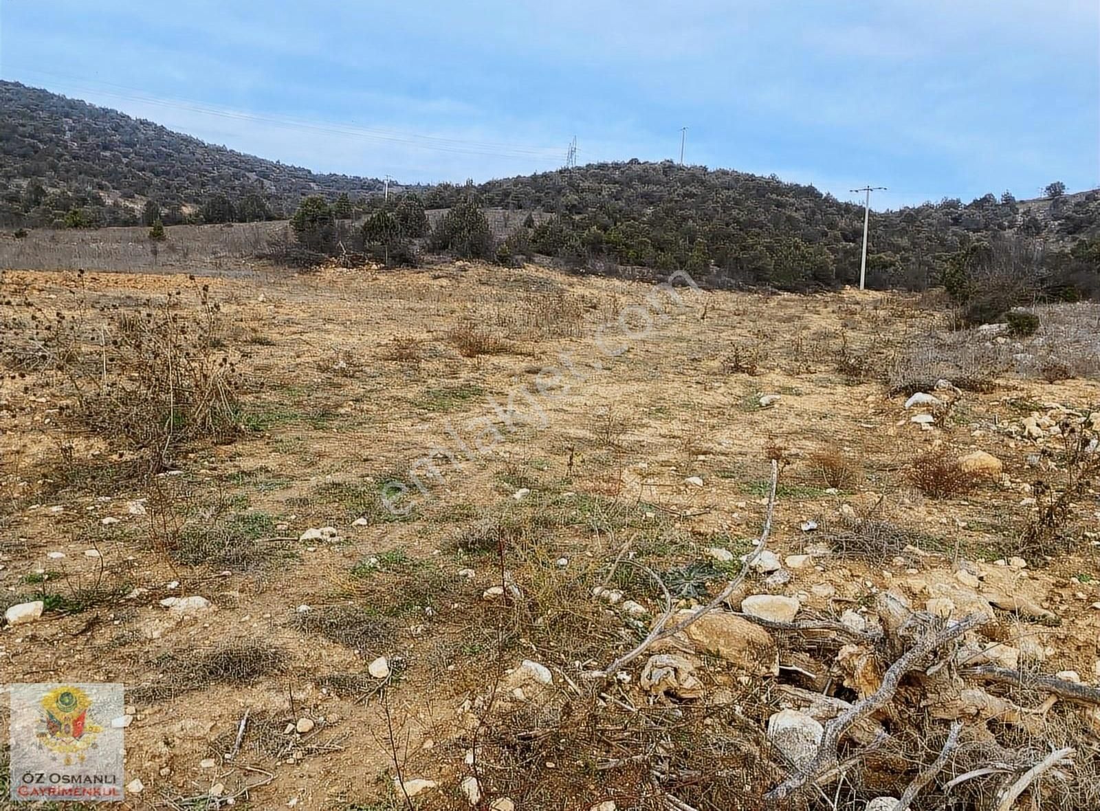 Osmaneli Medetli Köyü Satılık Tarla Medetli Köyünde Yolu Olan 1066 M2 Satılık Tarla