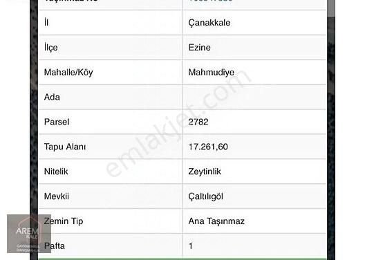 Çanakkale Ezine Satılık Zeytinlik Ezine Mahmudiye De Verimli İyi Bakımlı Zeytinlik 17.261 M2