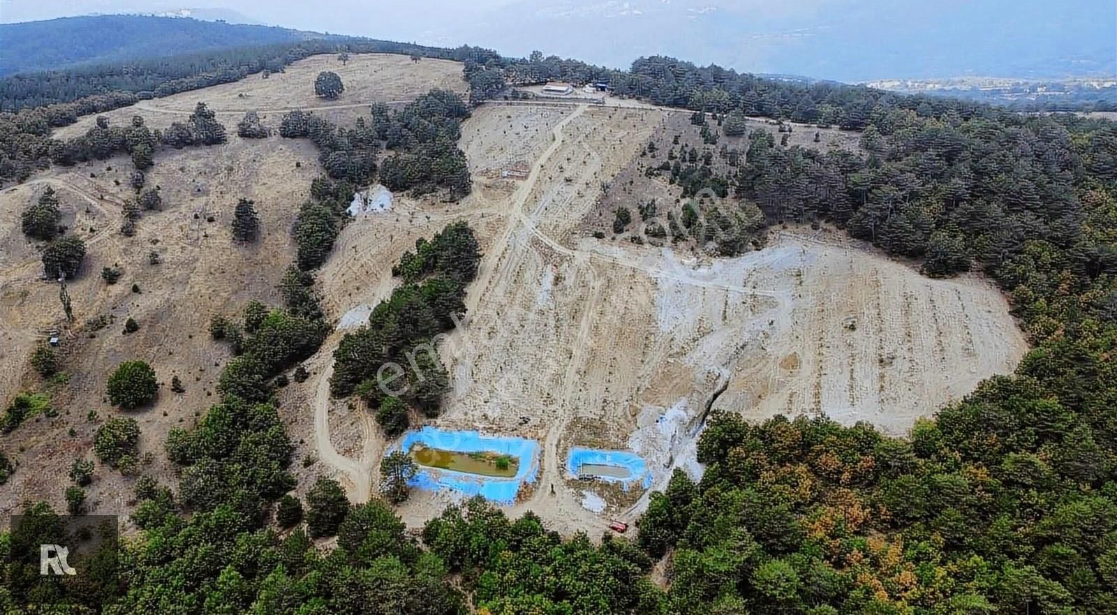 Dursunbey Kavacık Satılık Tarla Balıkesir Dursunbey Kavacık'ta Satılık Cevizli Tarla