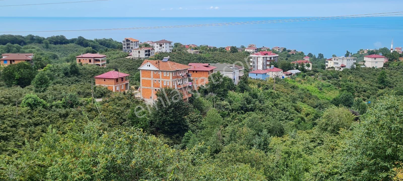 Araklının En Güzel Sahil Koyunde Satılık Arsa - Görsel 4