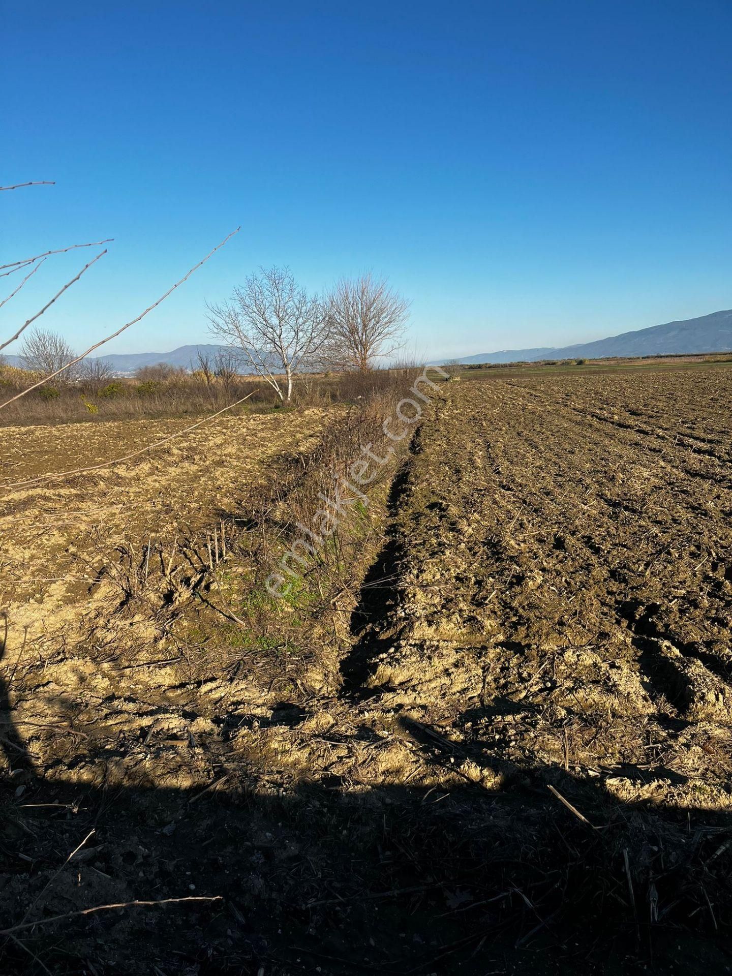 Baron Emlaktan Atça Da Satılık Tarla - Görsel 6