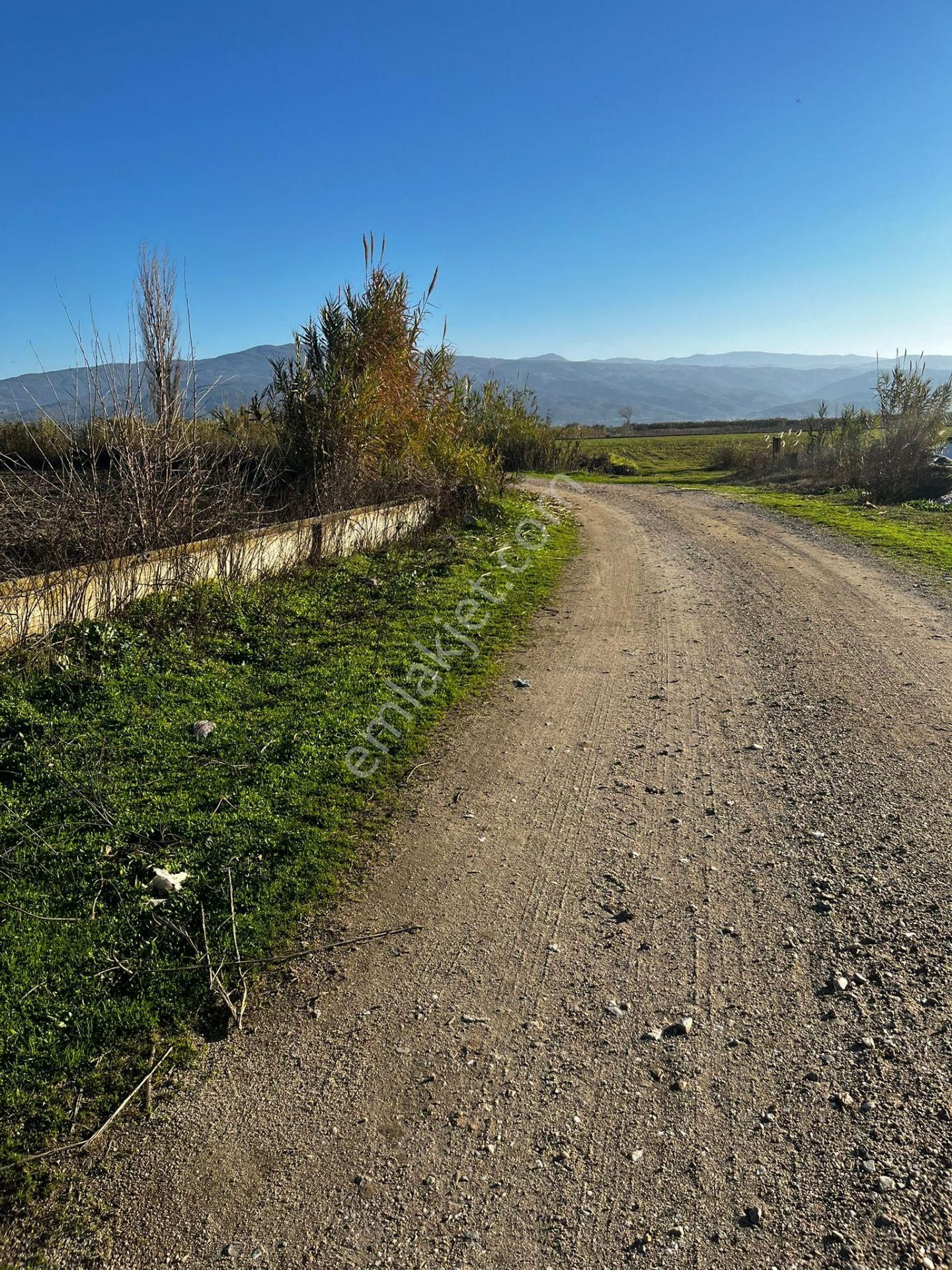 Baron Emlaktan Atça Da Satılık Tarla - Görsel 2