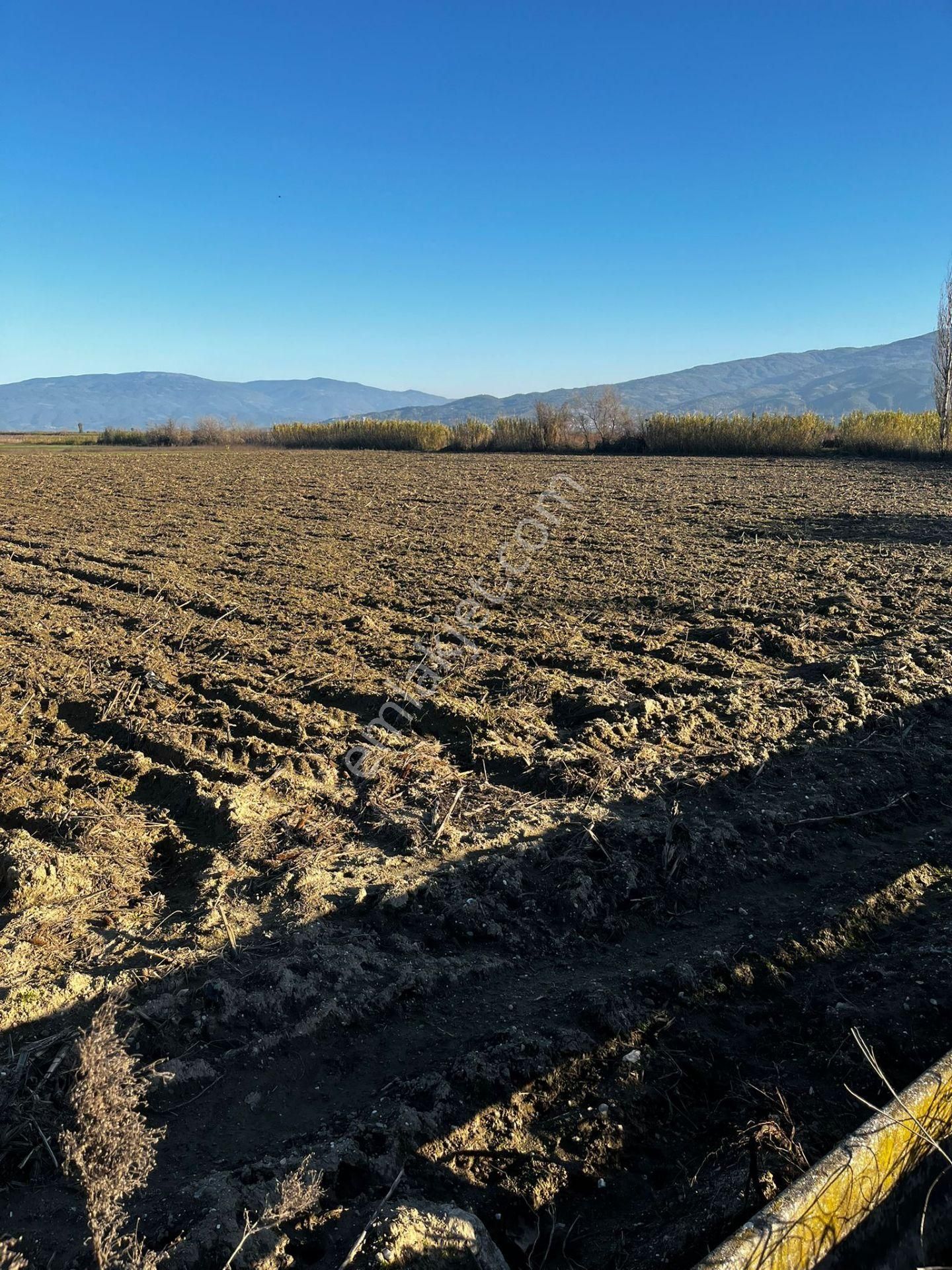 Baron Emlaktan Atça Da Satılık Tarla - Görsel 5