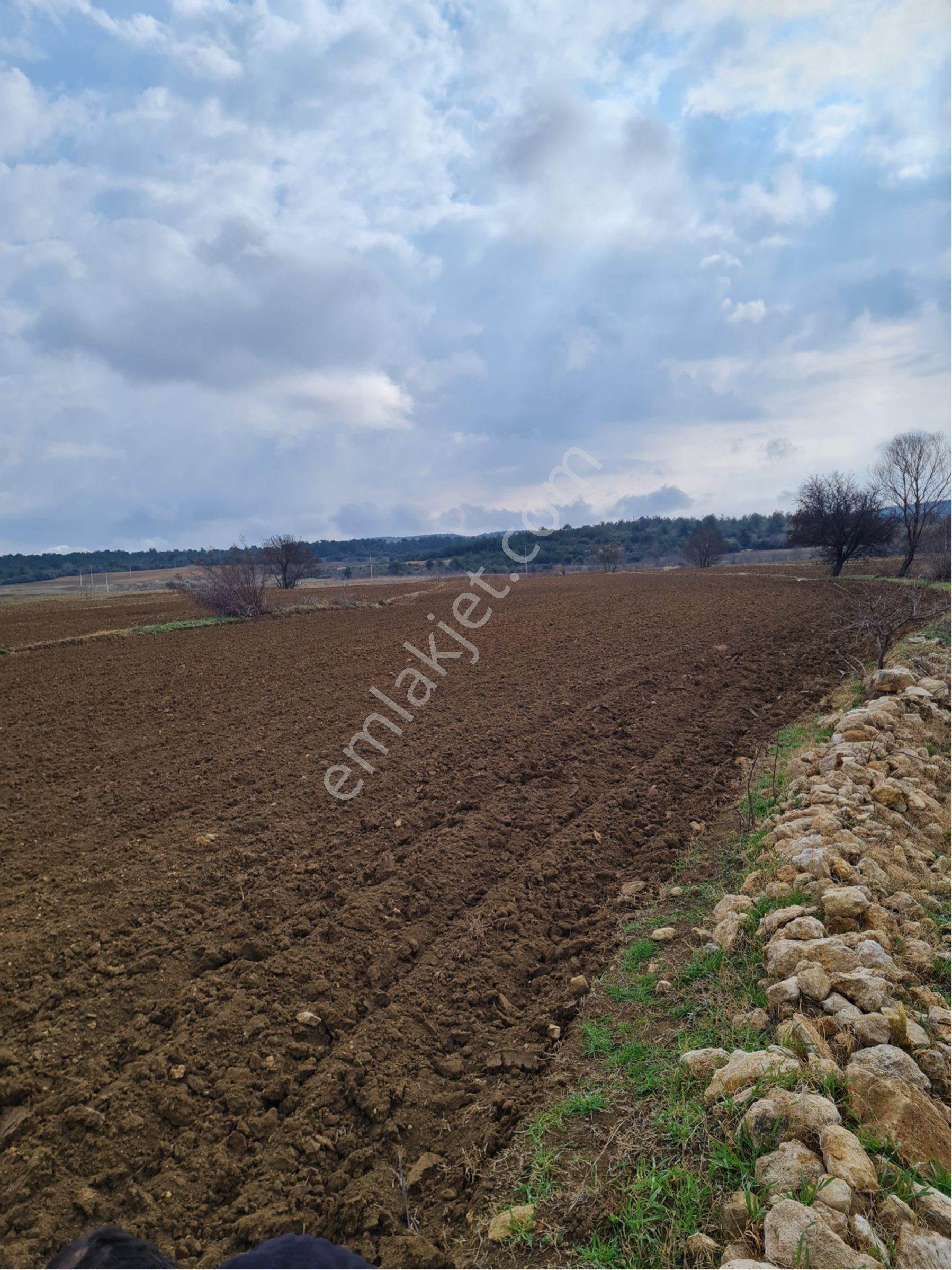 Keşan Celtik Satılik Tarla - Görsel 21