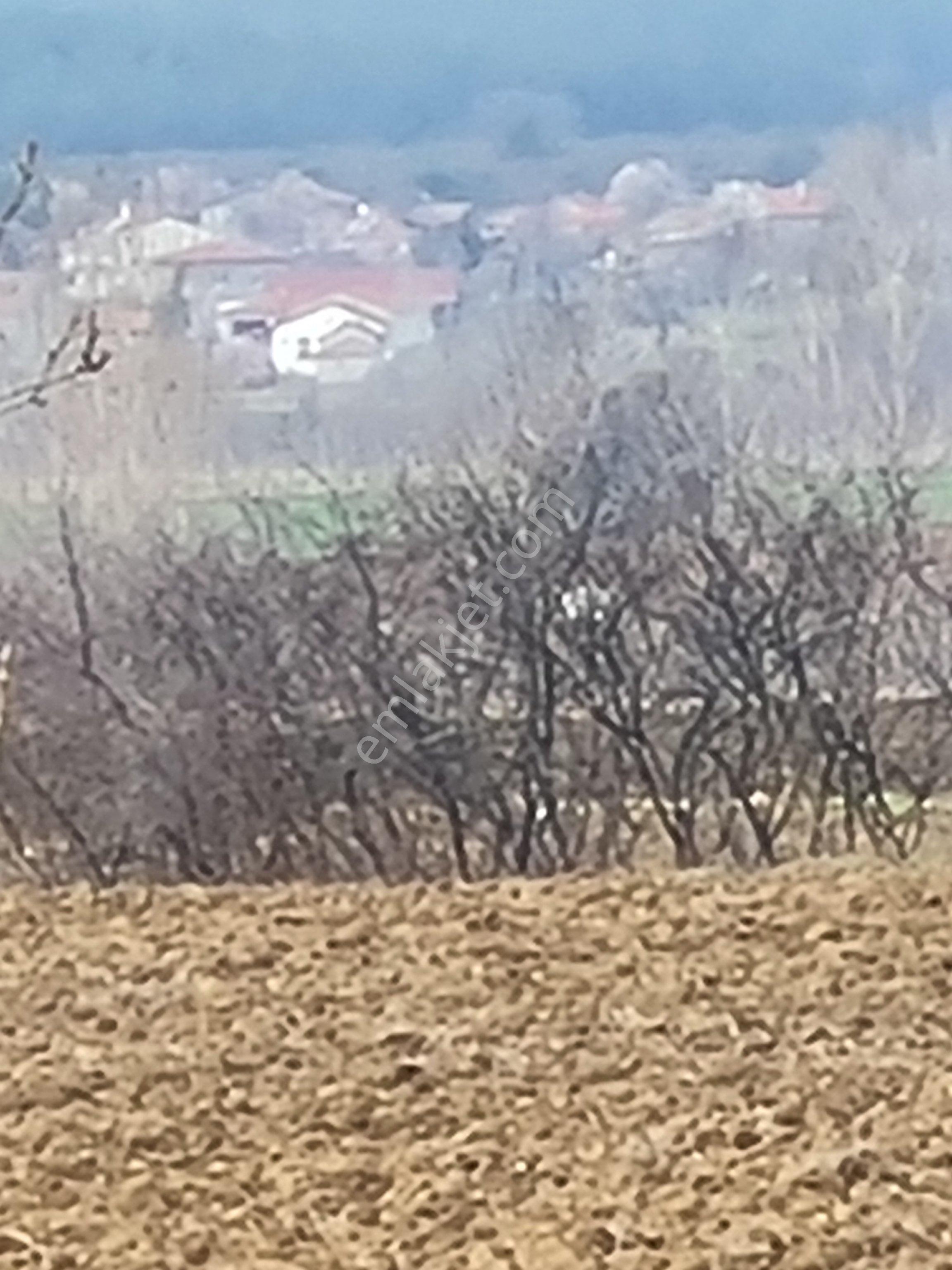 Keşan Celtik Satılik Tarla - Görsel 17