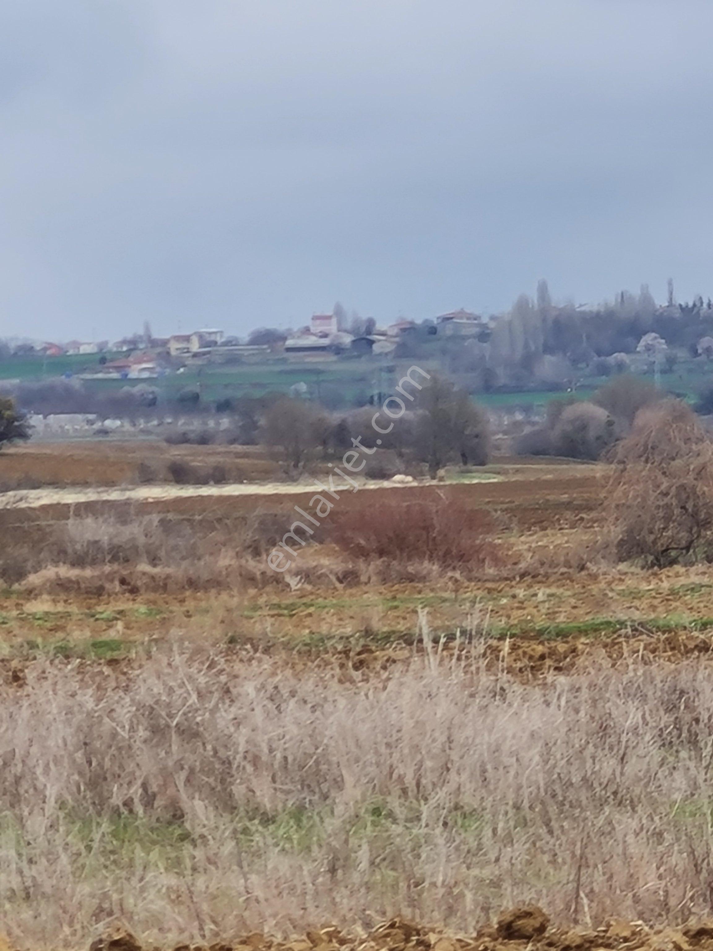 Keşan Celtik Satılik Tarla - Görsel 18