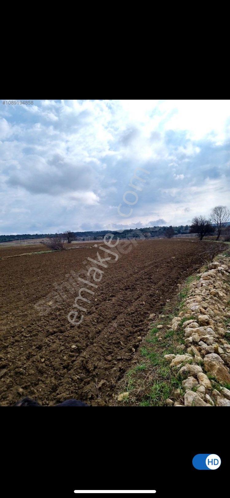 Keşan Celtik Satılik Tarla - Görsel 7