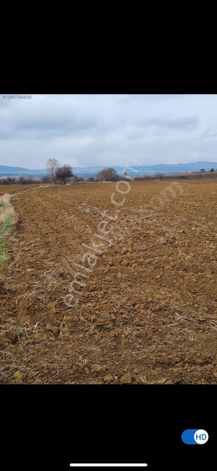 Keşan Celtik Satılik Tarla - Görsel 3