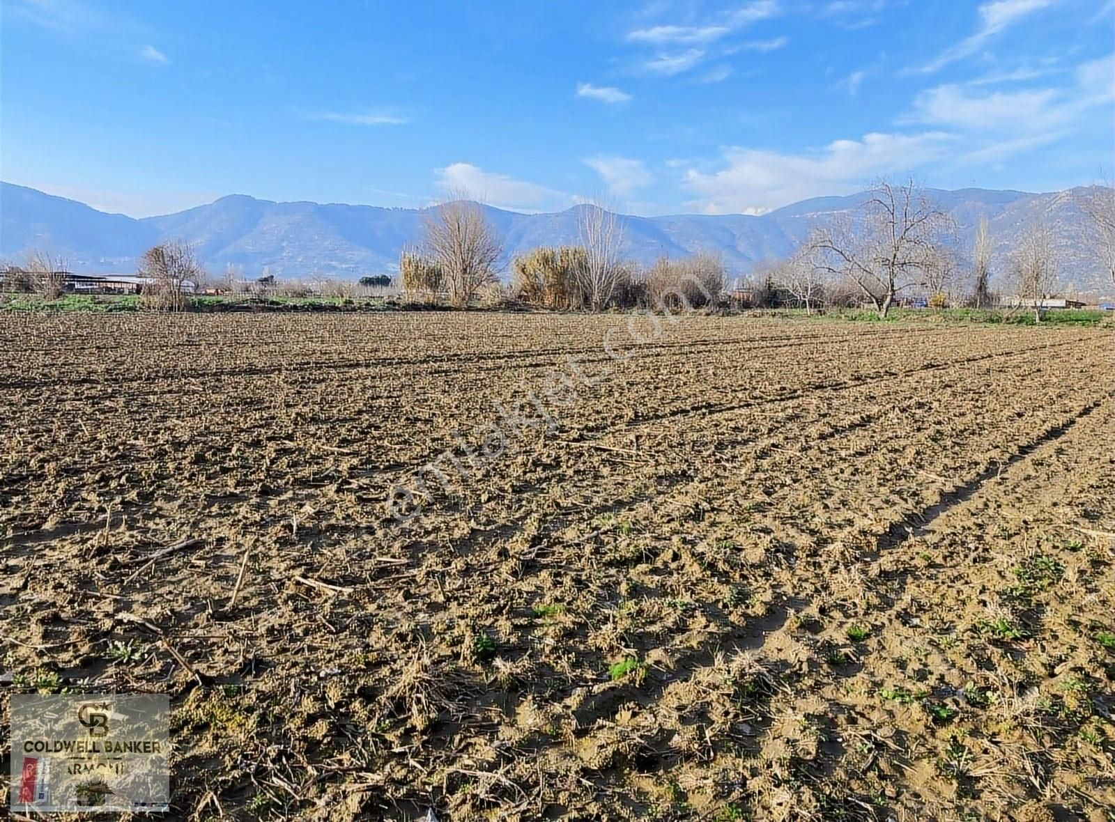 Bayındır Sadıkpaşa Satılık Tarla C.b Armoniden Bayındır Ambarpınarı Mevki 17.840 M2 Tarla.