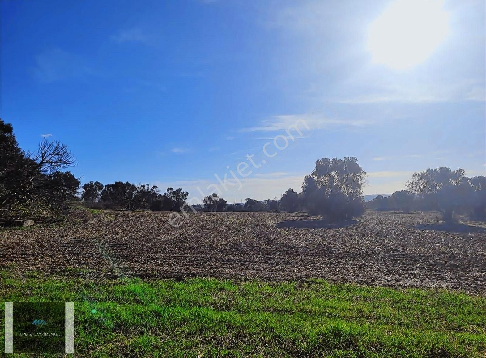 Urla Kalabak Satılık Tarla Urla Kalabakda 6.200 M2 Emsallerin Altında Kaçırılmacak Mülk