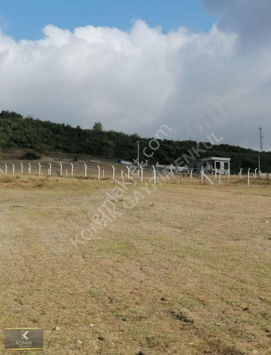 Körfez Cuma Satılık Tarla Körfez Cuma Köy Satılık Yola Cephe 715 Metrekare Tarla