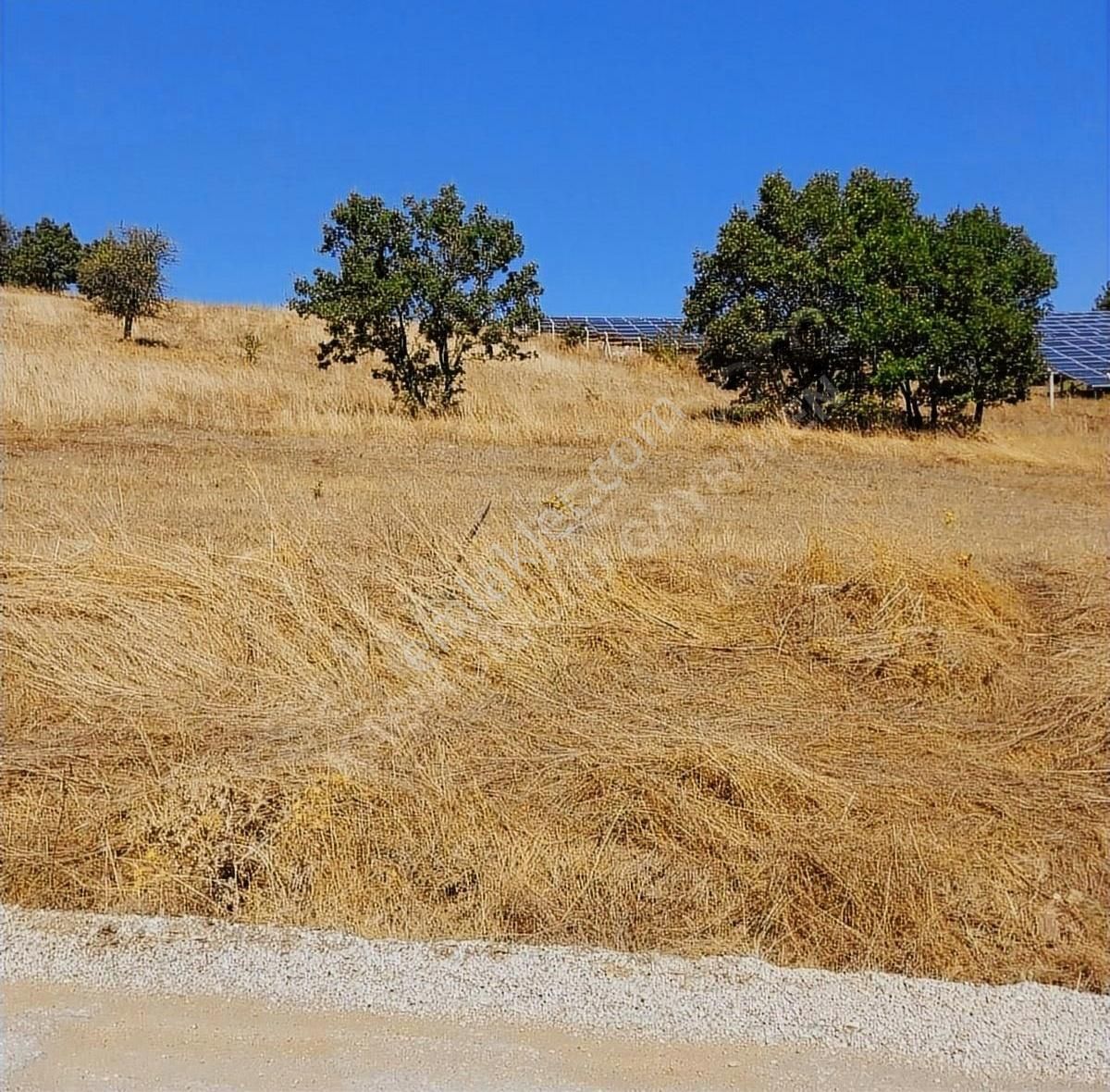 Çan Çaltıkara Köyü Satılık Tarla Satılık Arsa