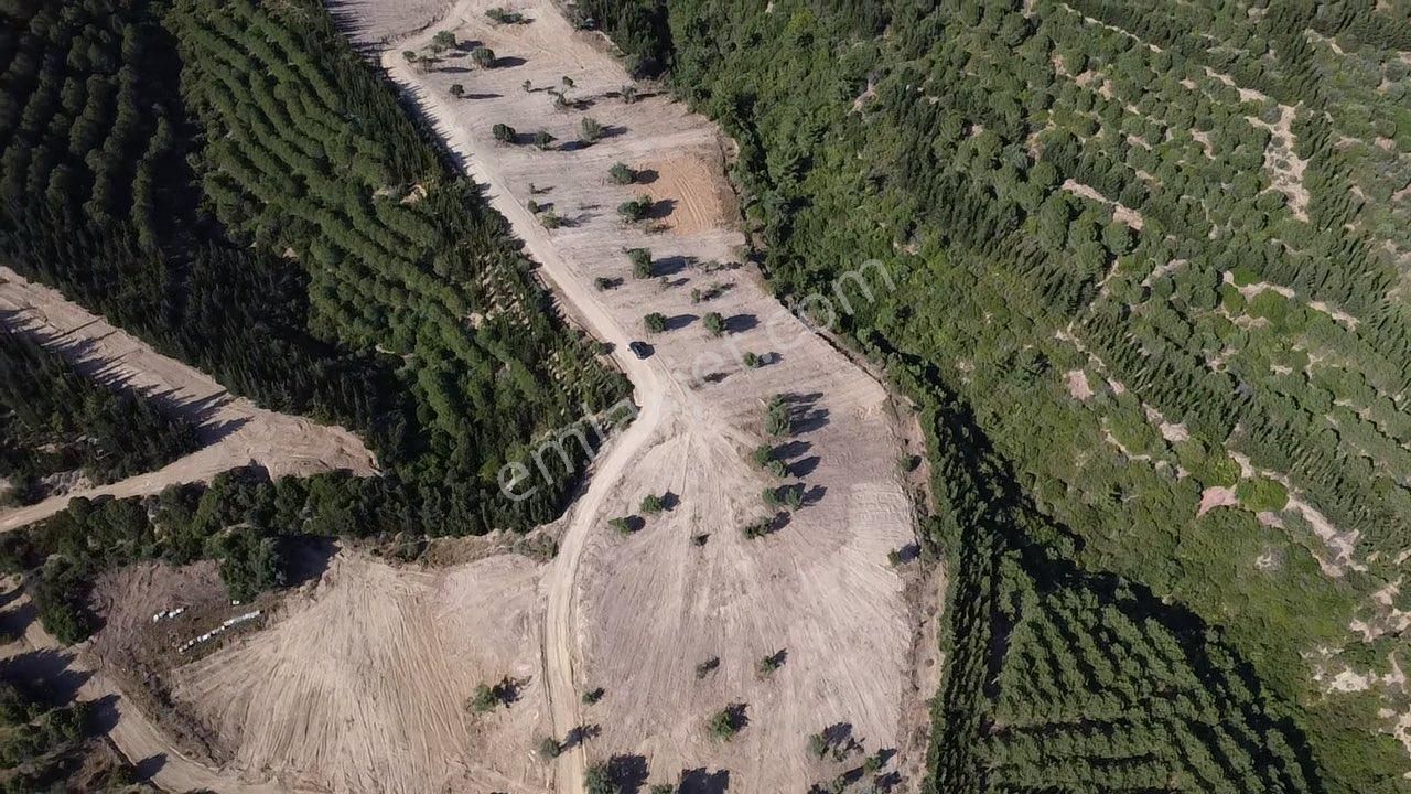 İzmir Seferihisar Atatürk Mahallesinde 228m2 Parseller Doğa İçinde - Görsel 7