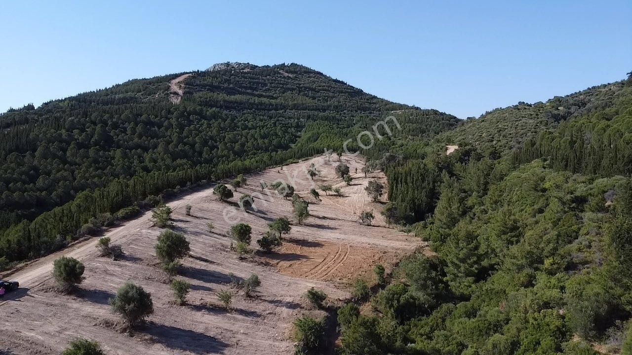 İzmir Seferihisar Atatürk Mahallesinde 228m2 Parseller Doğa İçinde - Görsel 9