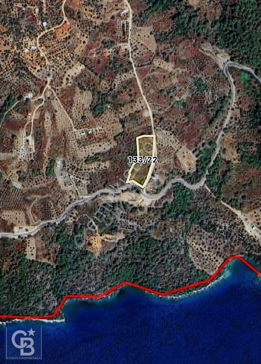 Menteşe Kıran Satılık Tarla Kıran Sahil 5.592m2 Kadastrol Cepheli Satılık Tarla