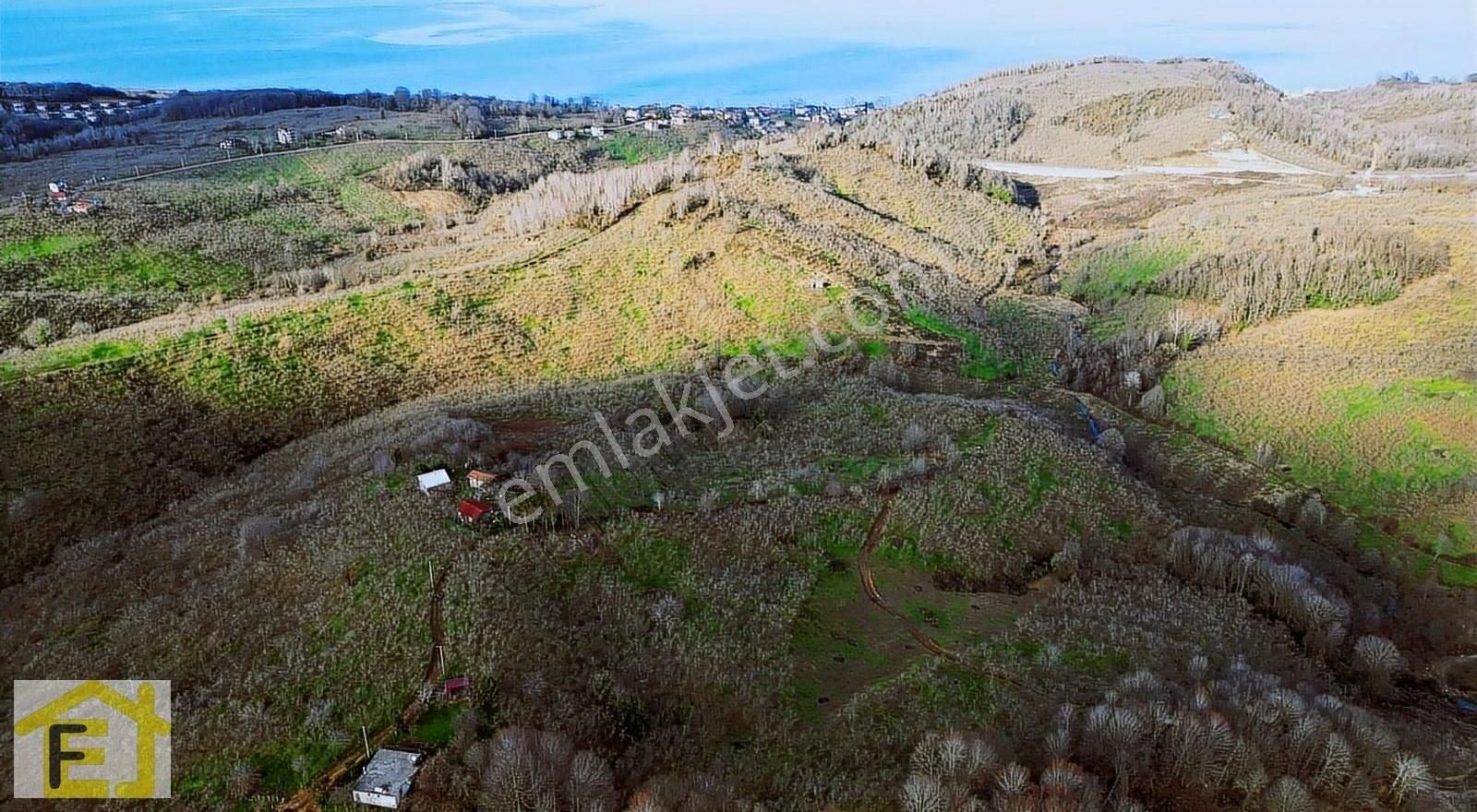 Akçakoca Hasançavuş Köyü Satılık Konut İmarlı Akçakoca Hasançavuş Köyü Deniz Manzaralı 5,500m2 Satılık Arsa