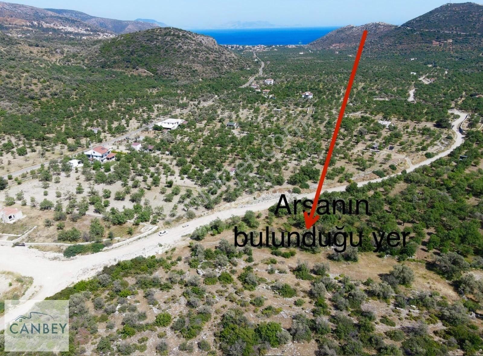 Datça Cumalı Satılık Tarla Palamutbükü'nde Denize 2,5 Km Deniz Gören 3.526 M2 Bademlik