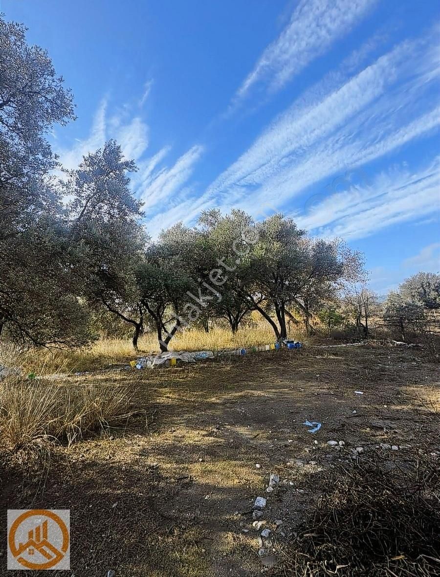 Ula Karabörtlen Satılık Tarla Ula_karabörtlende_720m2_hisse_tapulu_köy_içi_imarlı_satılk_tarla