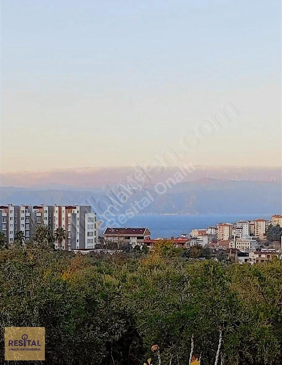 Bursa Mudanya Satılık Zeytinlik Mudanya Güzelyalı Da Deniz Manzaralı Tarla