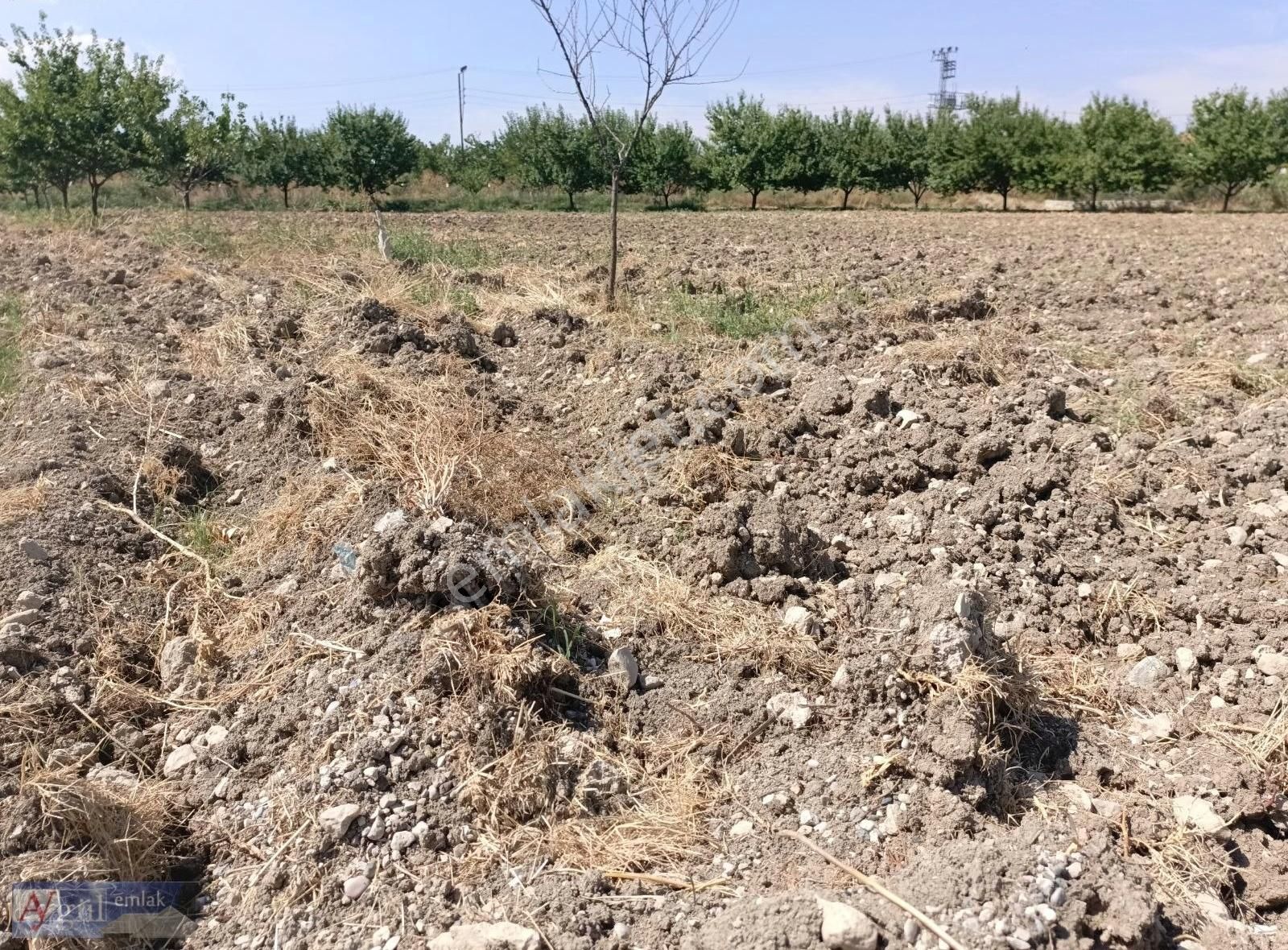 Battalgazi Hatunsuyu Satılık Bağ & Bahçe Aygül Emlak Tan Battalgazi Hatun Suyunda Satılık Villalık Arsa