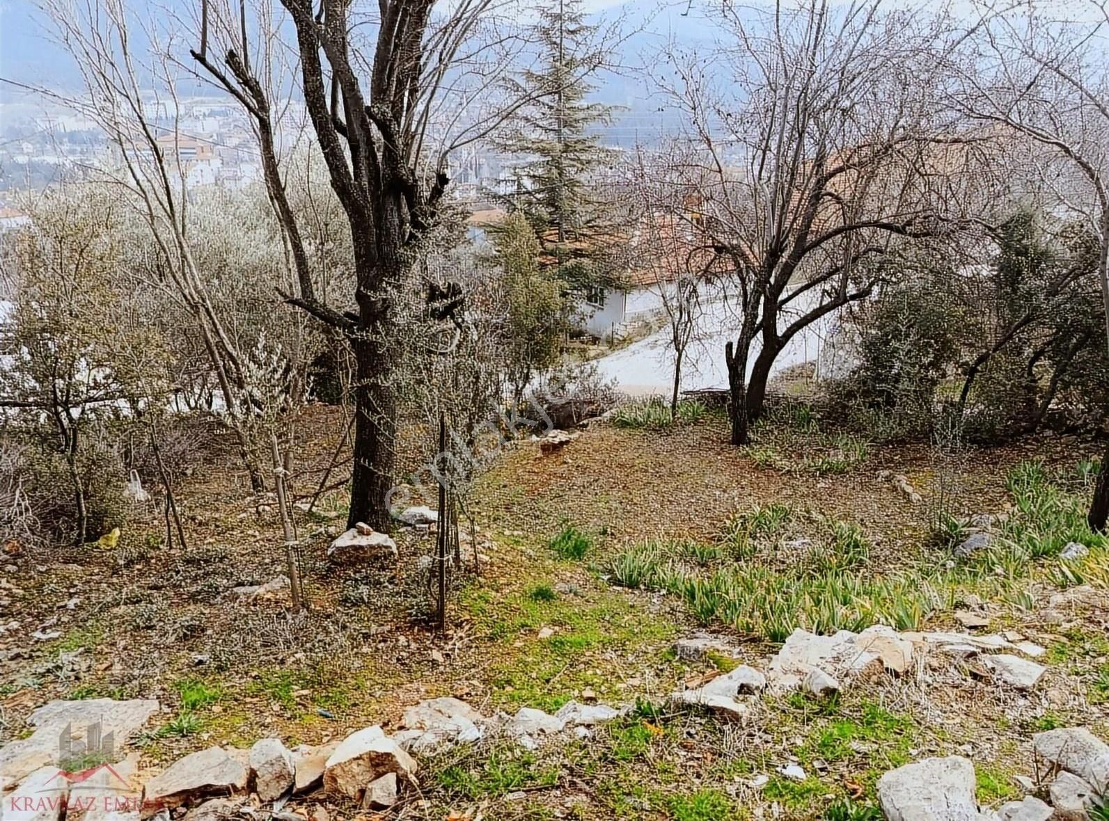 Bucak Yörükler Satılık Müstakil Ev Bucakta Mustakil Ev