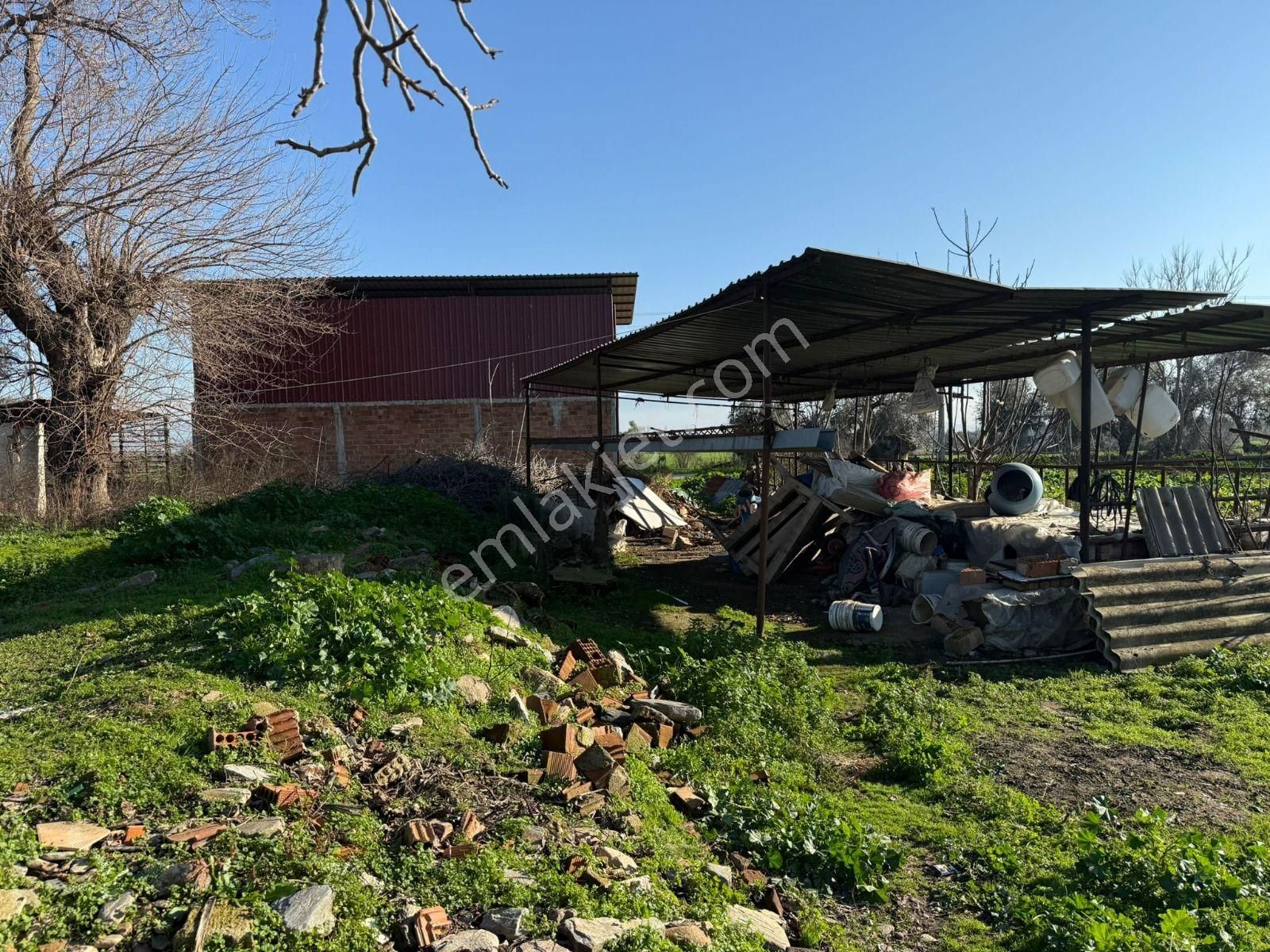 📍inan Emlak Gayrimenkulden İzmir Bayındır'da Satılık Hayvan Çifliği - Görsel 19