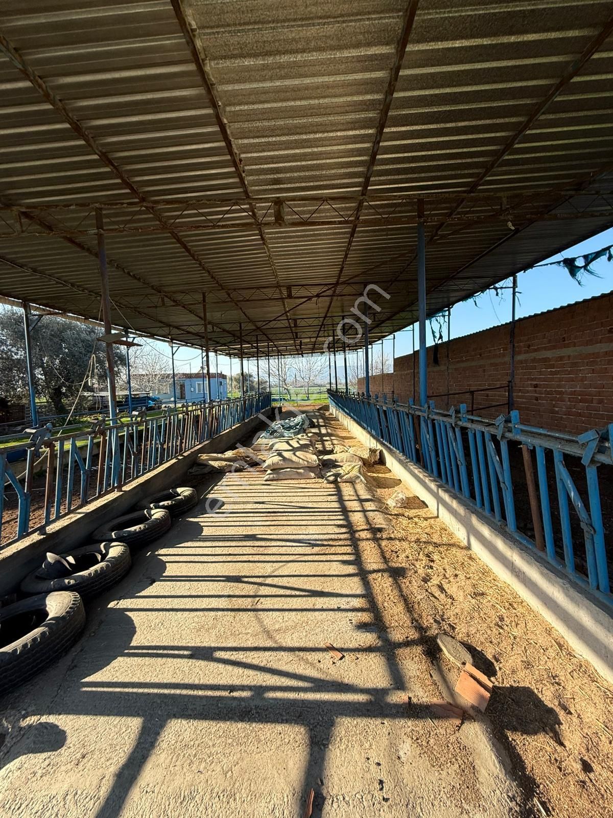 📍inan Emlak Gayrimenkulden İzmir Bayındır'da Satılık Hayvan Çifliği - Görsel 11