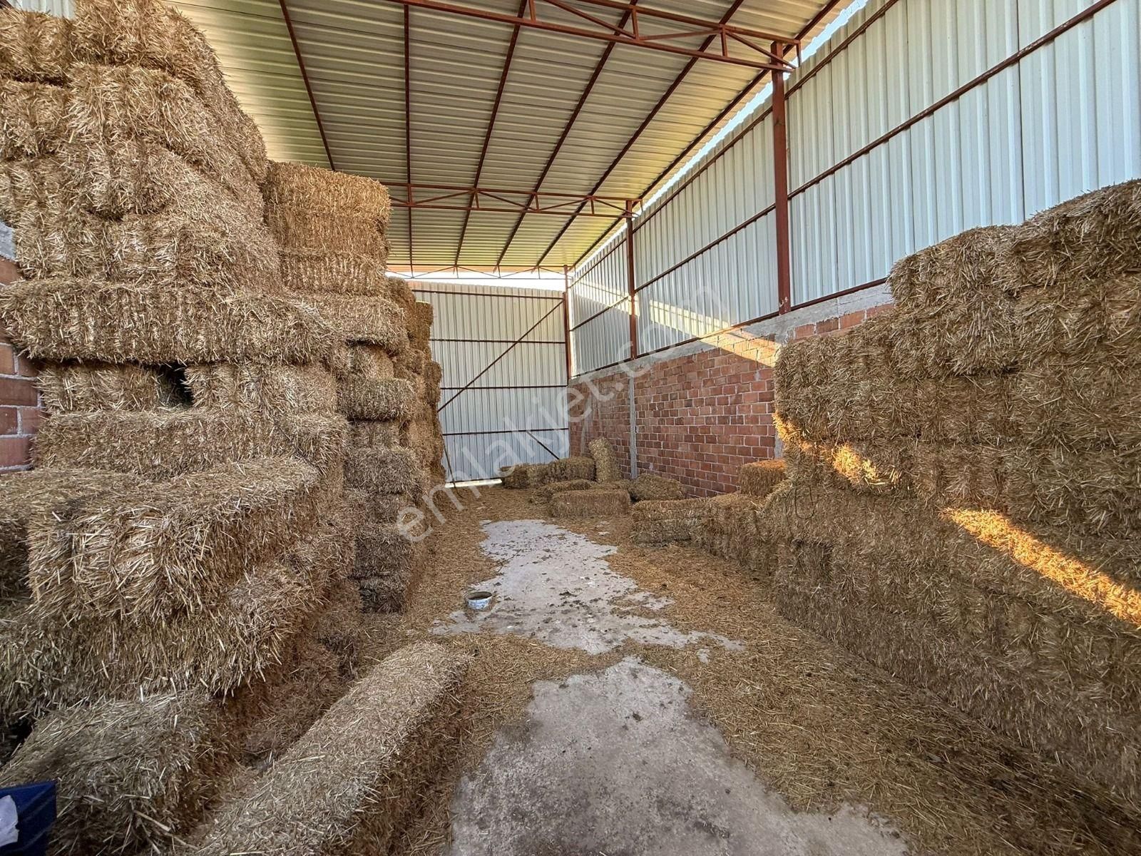 📍inan Emlak Gayrimenkulden İzmir Bayındır'da Satılık Hayvan Çifliği - Görsel 9