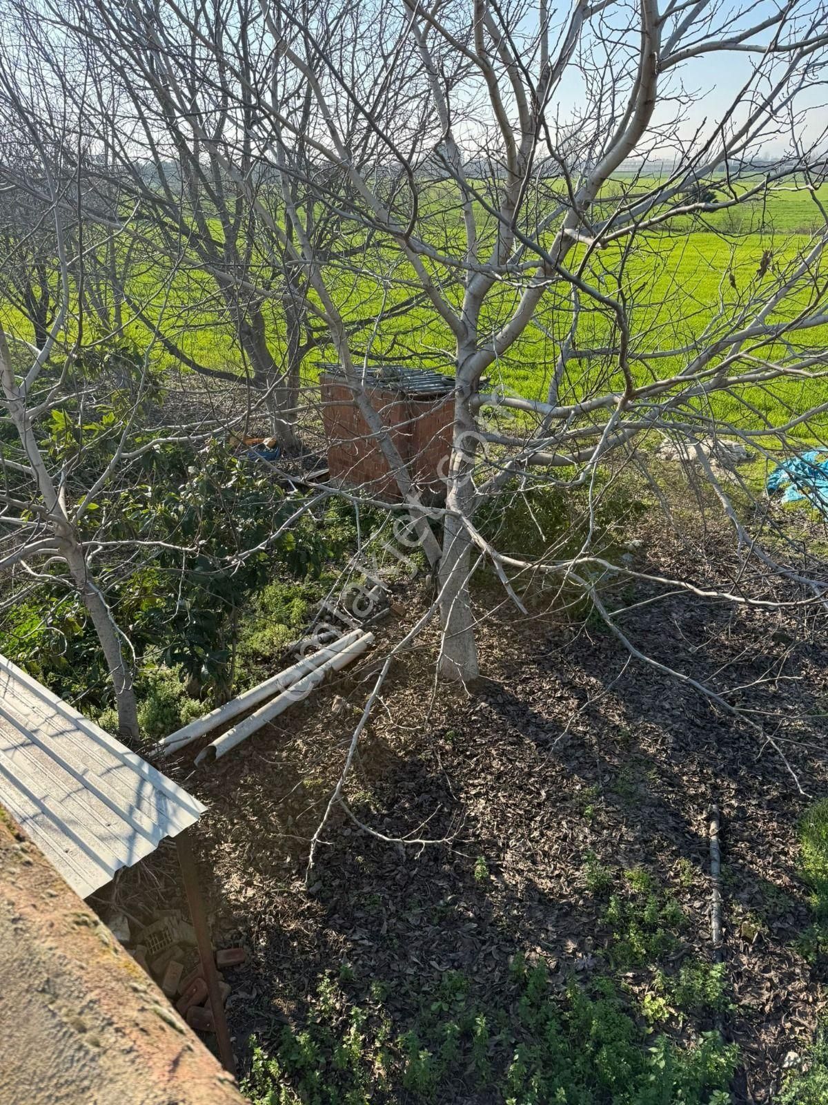 📍inan Emlak Gayrimenkulden İzmir Bayındır'da Satılık Hayvan Çifliği - Görsel 15