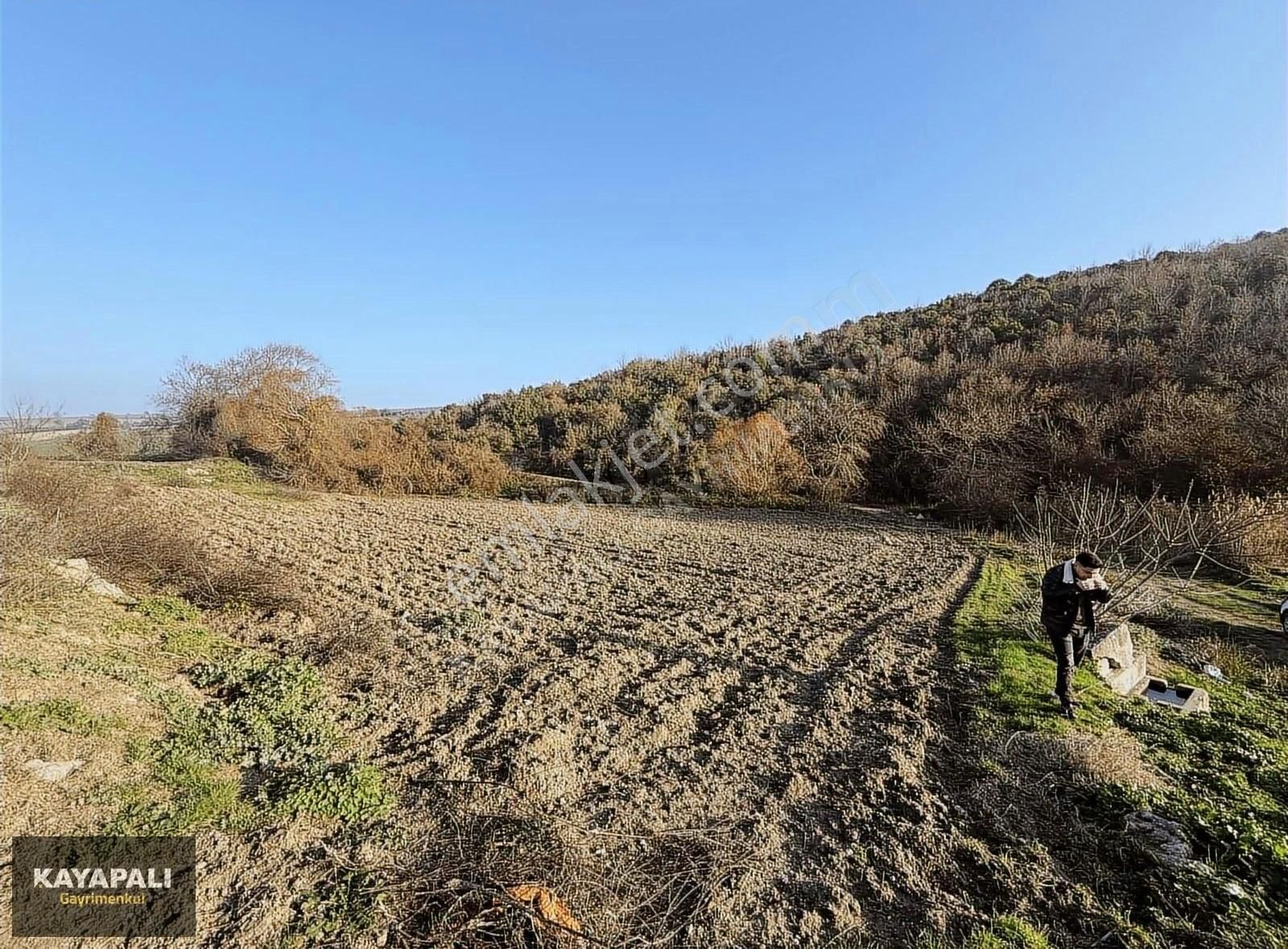 Karacabey Çamlıca Satılık Bağ & Bahçe Çift Yola Cephe Köşe Parsel