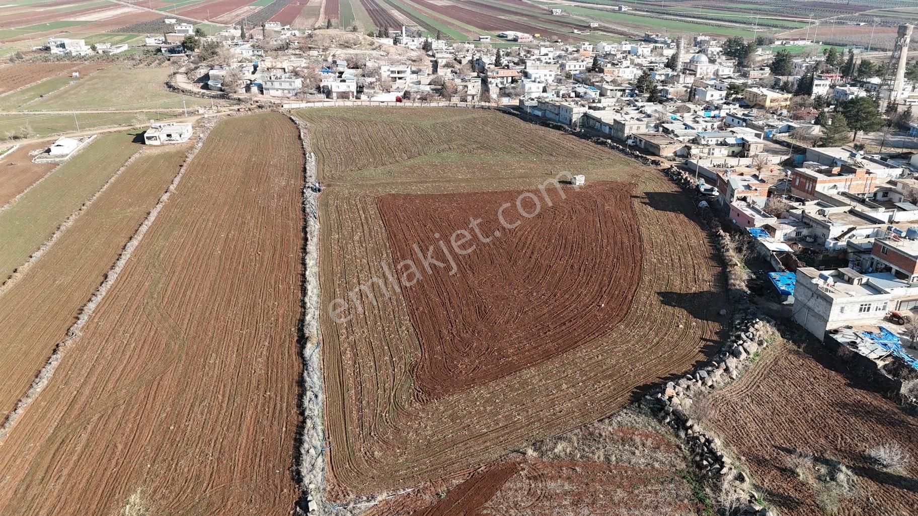 Kilis Merkez Yavuzlu Köyü (Yavuz) Satılık Özel Kullanım Kilis Merkez Yavuzlu Sulu Süper Kırmızı Toprak Arazi