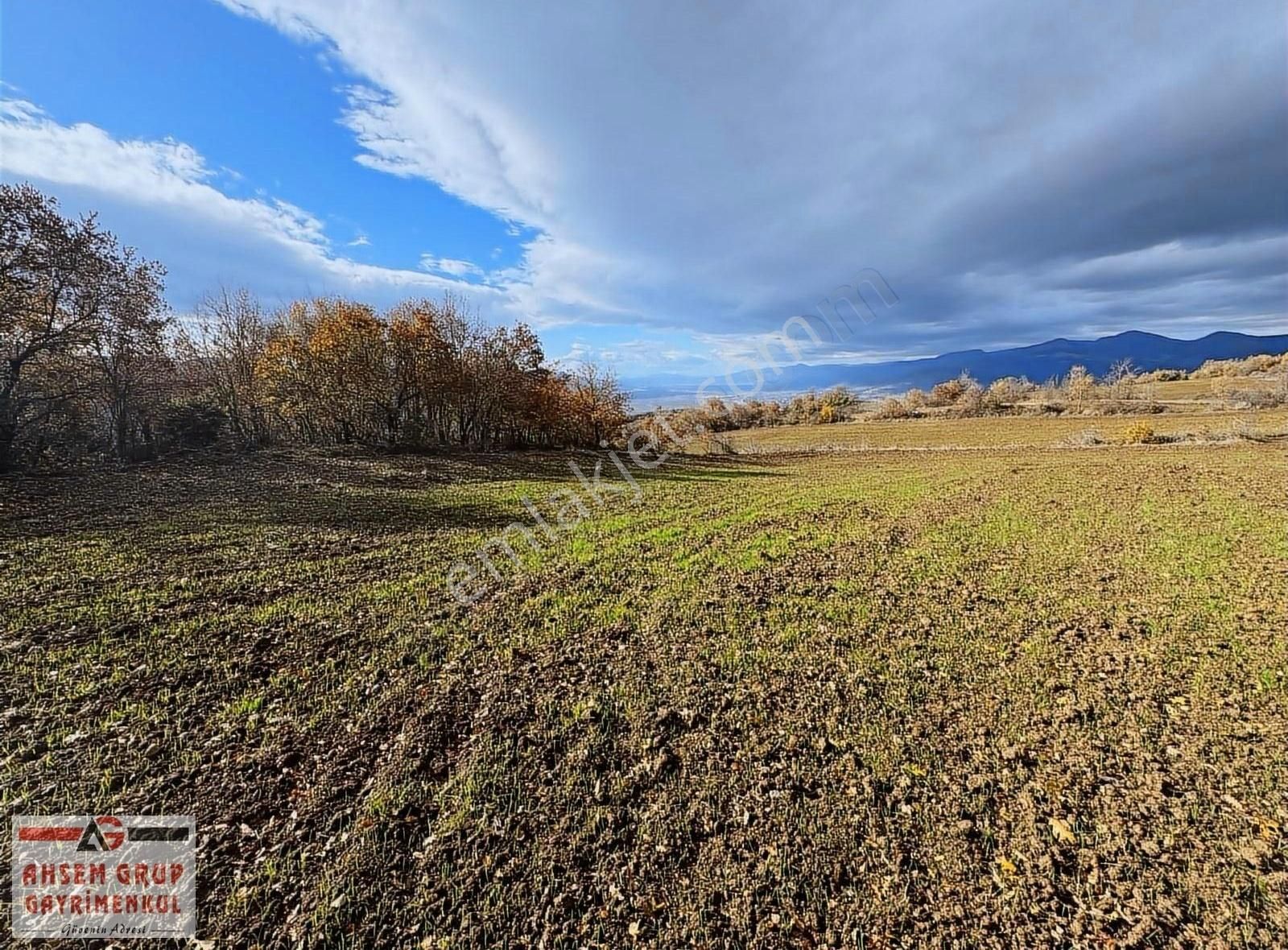 Geyve Eşme Satılık Tarla Geyve Eşme'de Doğa Harikası 5,526m2 Satılık Arsa