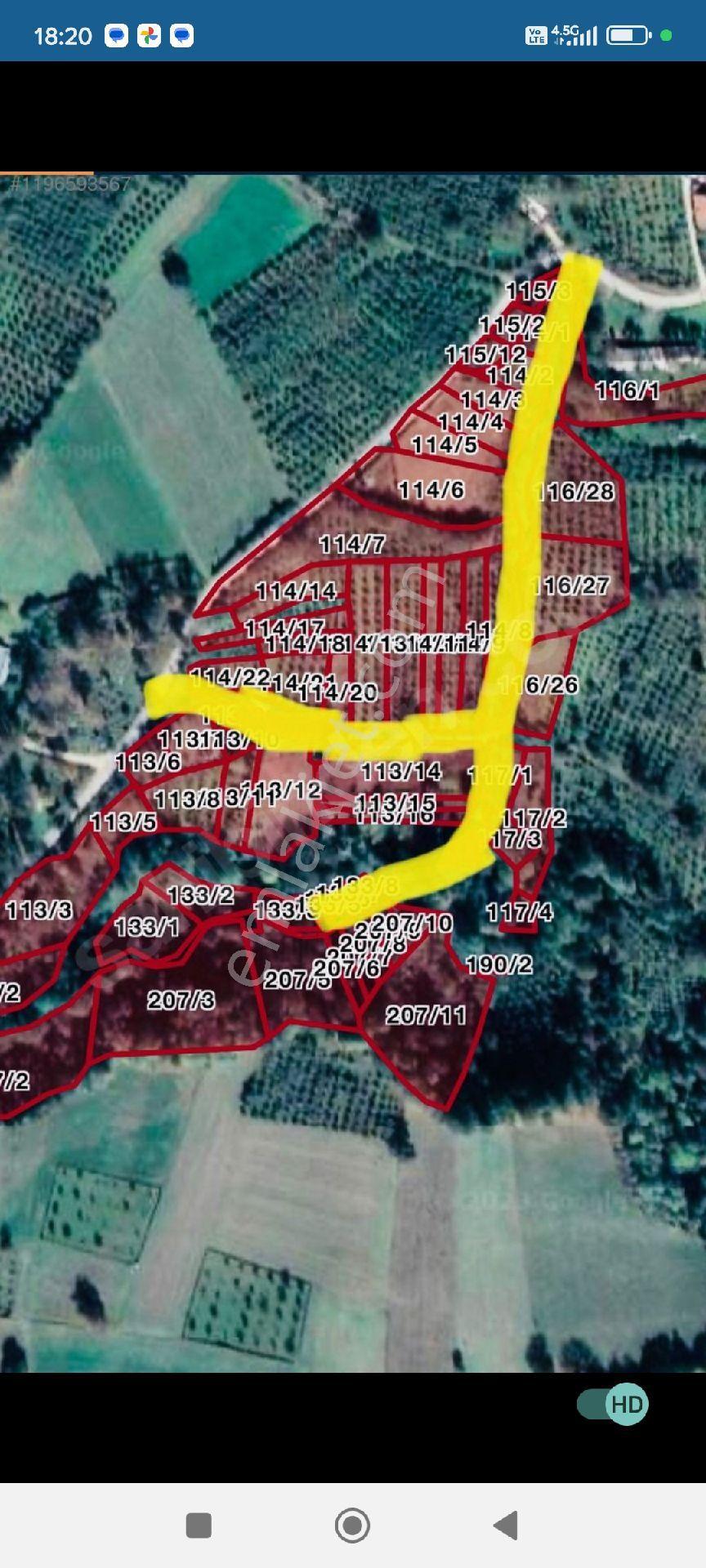 Bolu Mudurnu Taşkesti Ortaköy Köyünde Fındık Bahçesi - Görsel 6