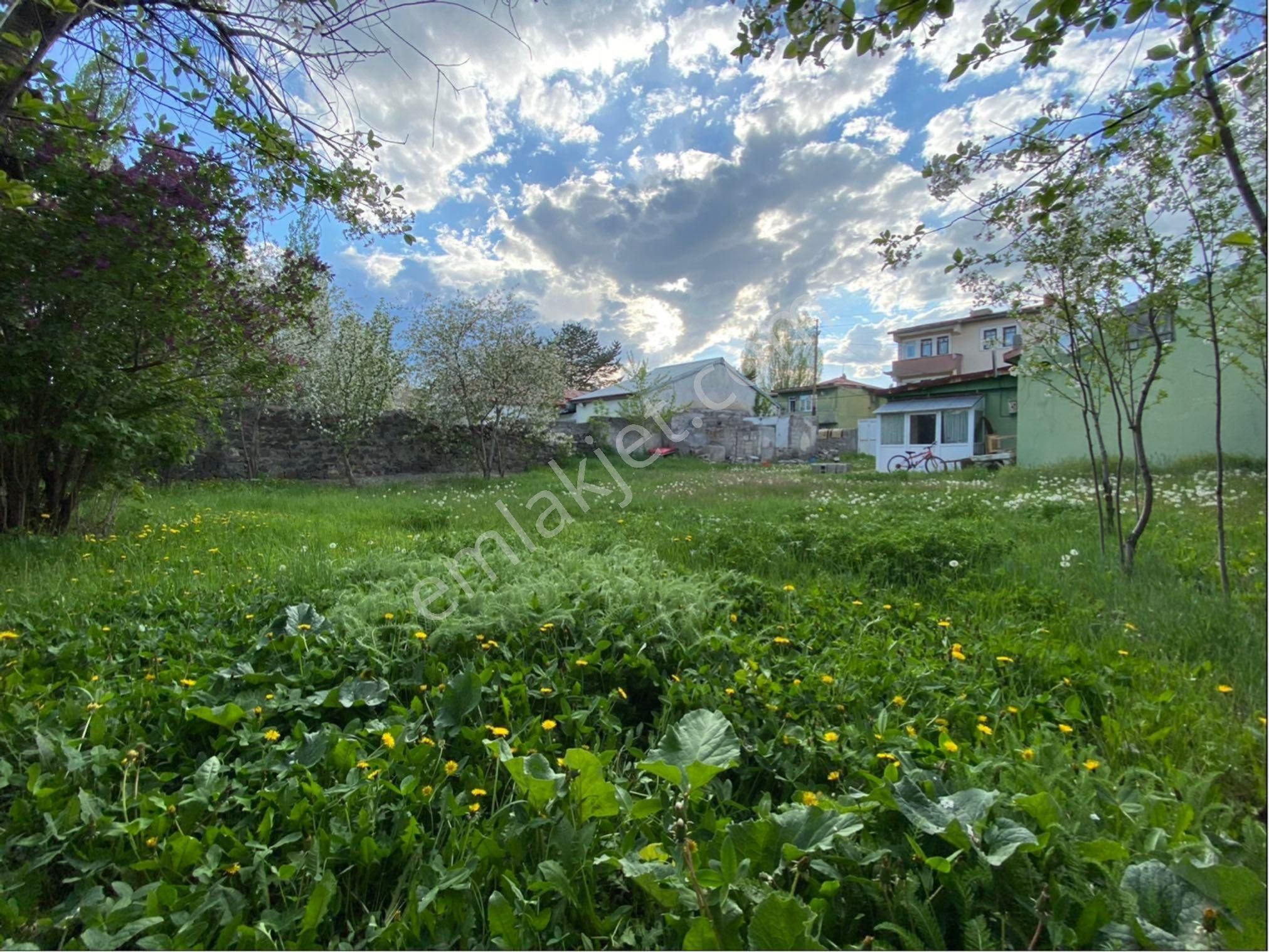 Kars Merkez Halitpaşa Satılık Konut İmarlı Sahibinden Satılık İmarlı Arsa