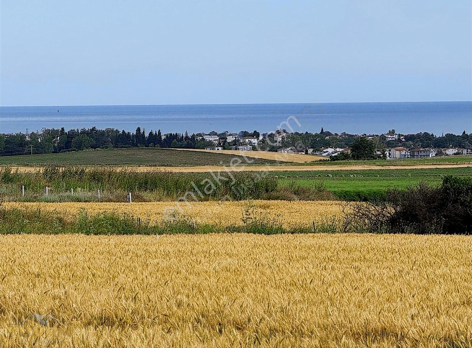 Marmaraereğlisi Çeşmeli Satılık Tarla Yuvam Arsa Ofisinden İmar Sınırında Deniz Manzaralı 342 M2 Arsa