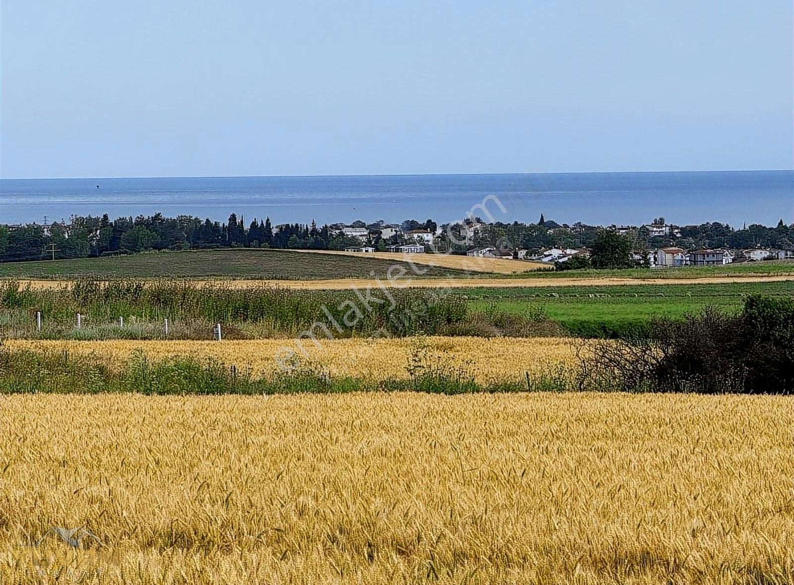 Marmaraereğlisi Çeşmeli Satılık Tarla Yuvam Arsa Ofisinden Deniz Manzaralı 300 M2 Fırsat Arsa !!!