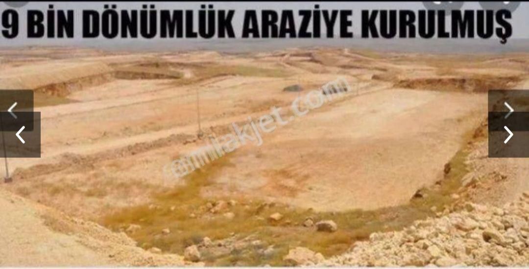 Fatih Emlak'tan Besi Osb'de Satılık Çiftlik Arazisi - Görsel 4