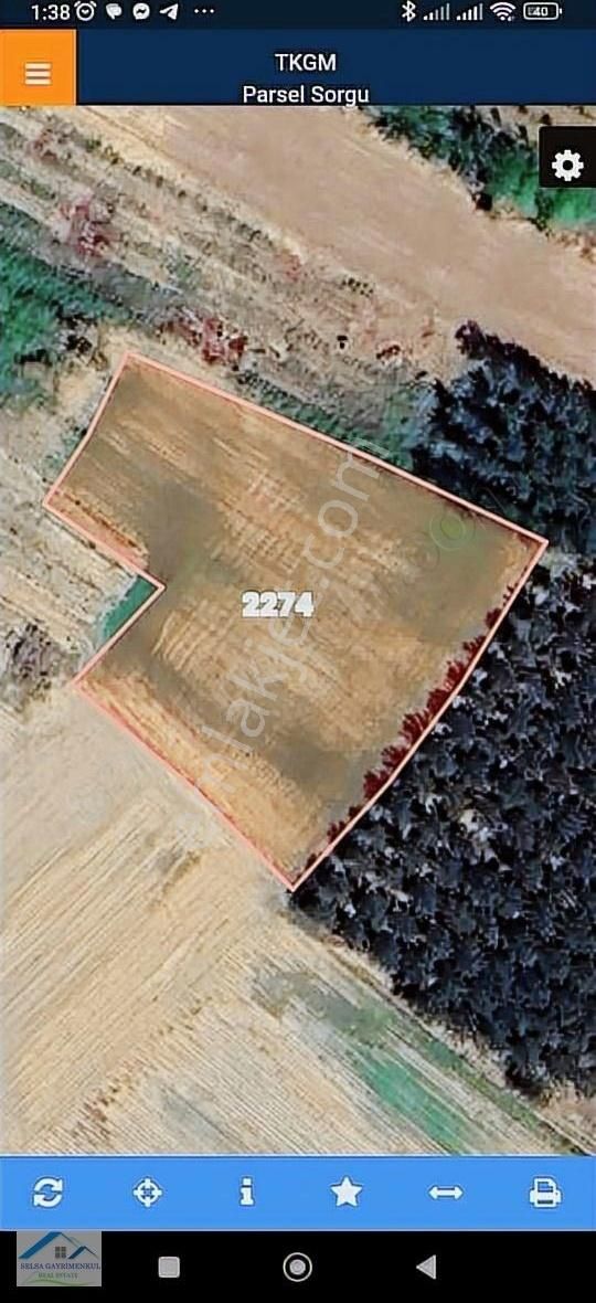 Kırklareli Merkez Koyunbaba Köyü Satılık Tarla Kırklareli Koyunbaba Köyü 3120 M2 Satılık Tek Tapu Tarla