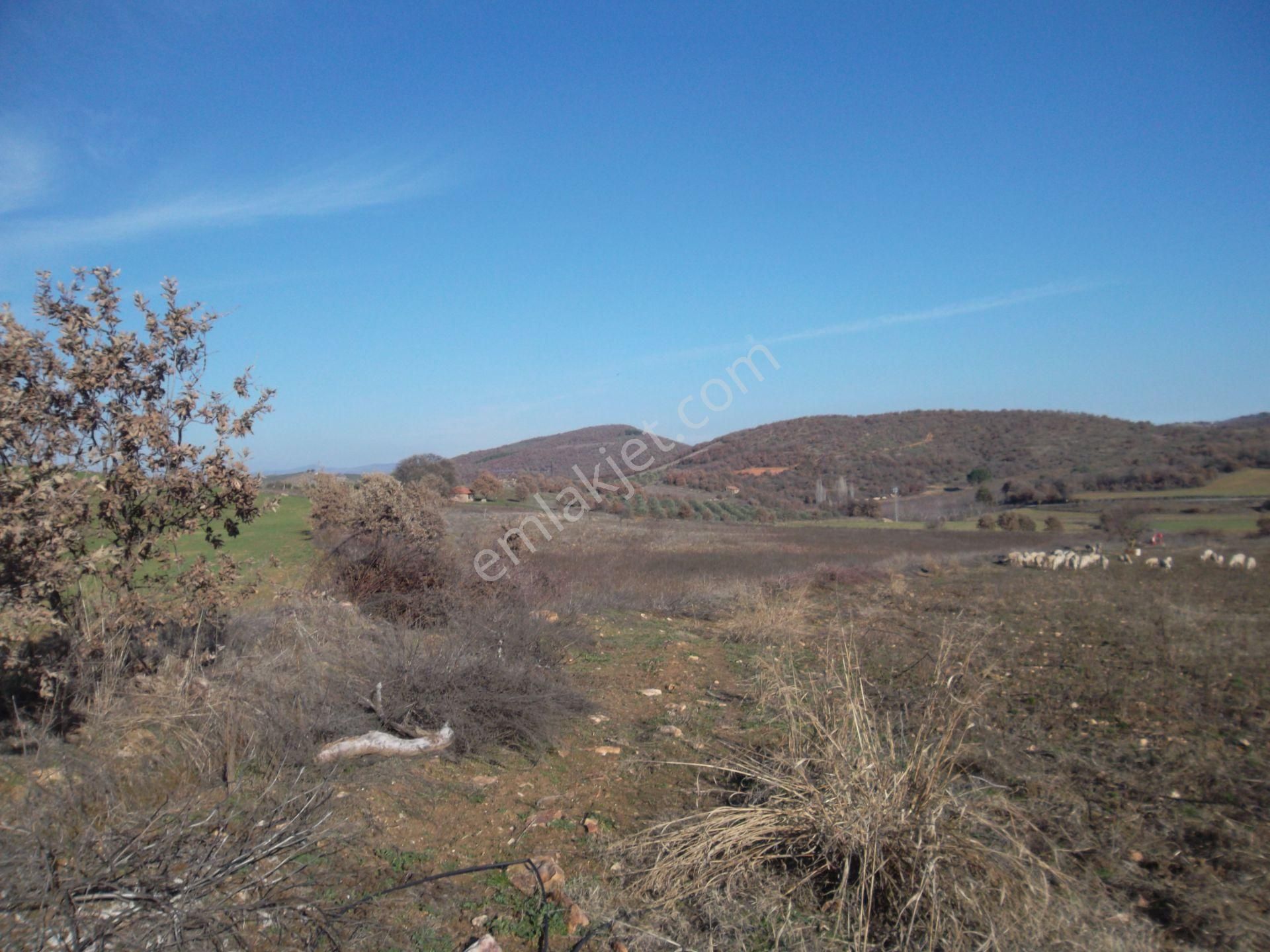 Salihli Hacıhıdır Satılık Tarla Manisa Salihli İlçesinde Satılık Arazi