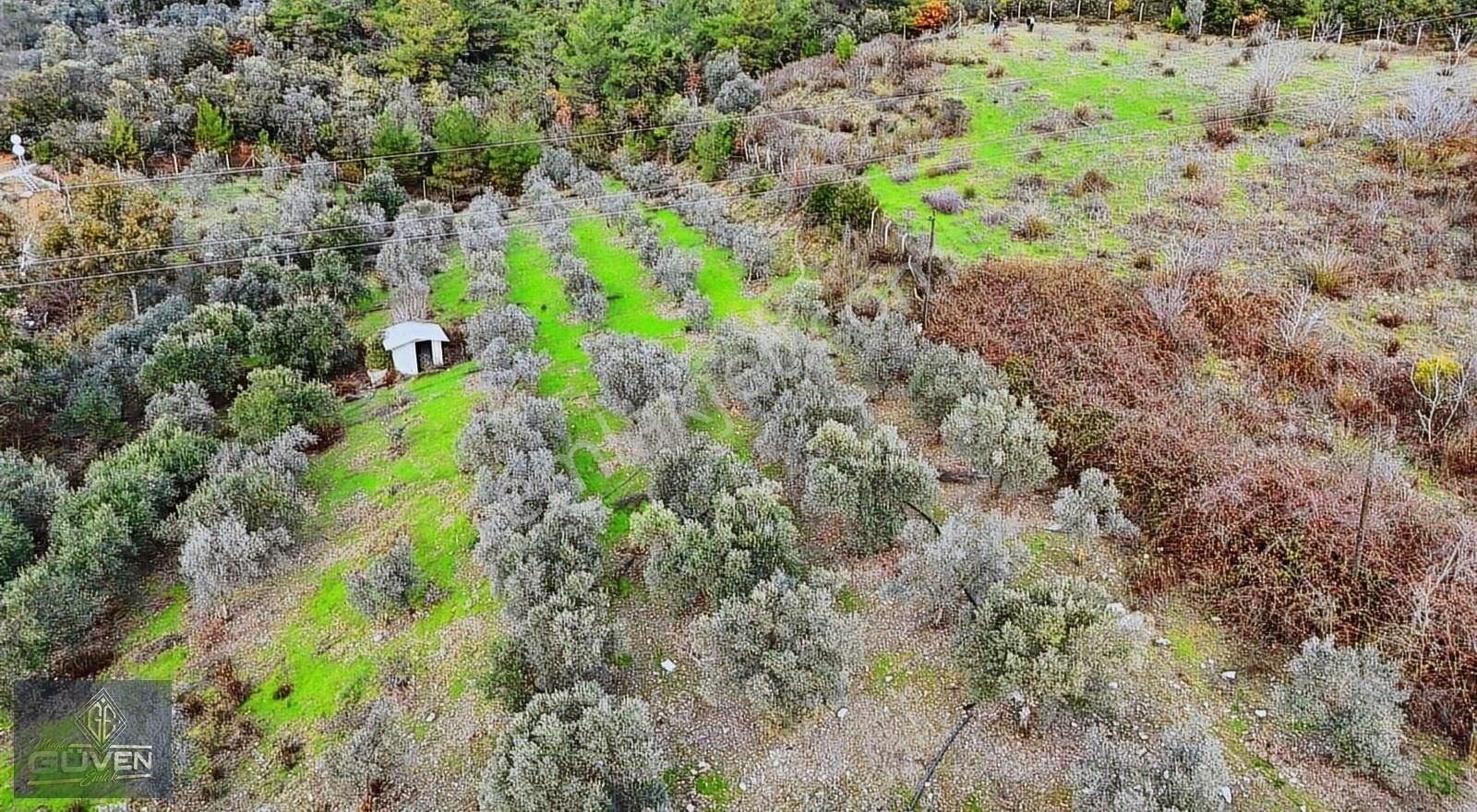 Ula Kızılyaka Satılık Tarla Muğla Ula Kızılyaka Esentepe Sınırı İmara Yakın Satılık Arazi