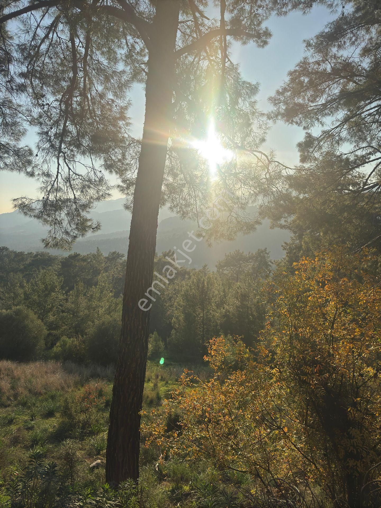 Antalya Kumluca Yazır Da Satılık Tarla - Görsel 9