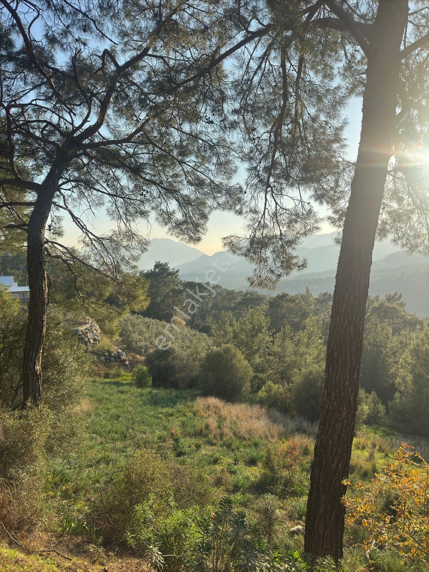 Antalya Kumluca Yazır Da Satılık Tarla - Görsel 12