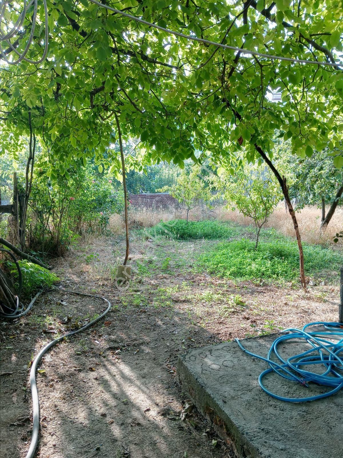 Çamlıyayla Fakılar Satılık Müstakil Ev Mersin Çamlıyayla Satılık Yaylalık Ev Ve Arsa