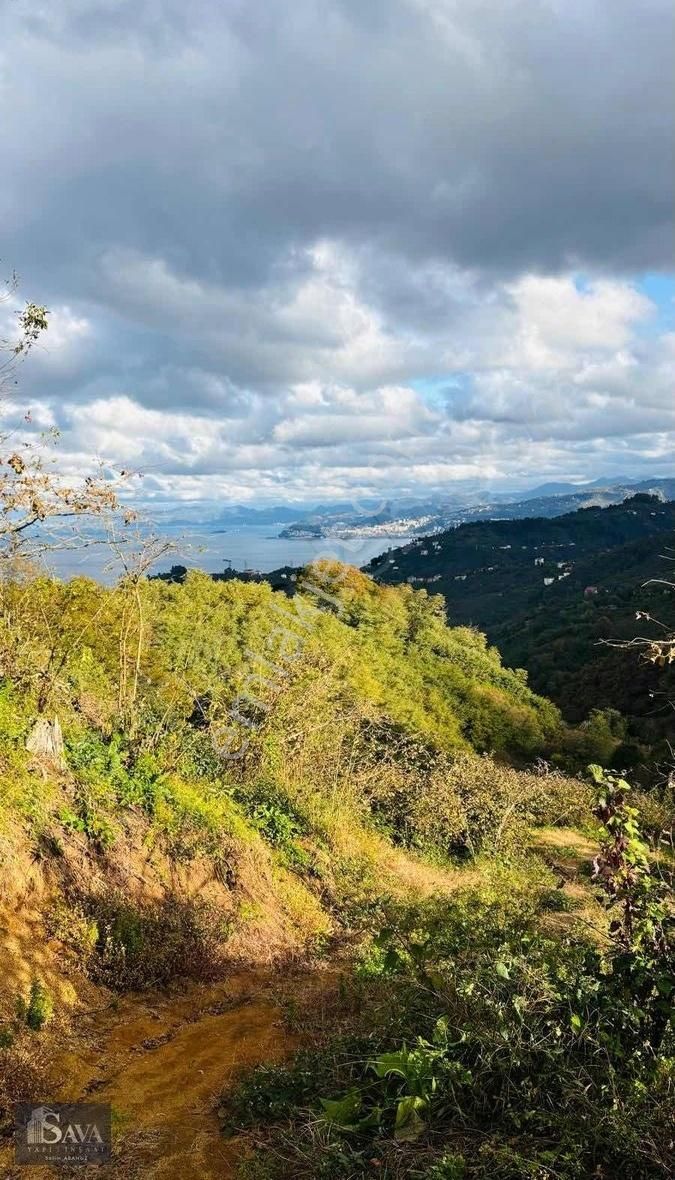 Bulancak Burunucu Köyü (Orta Dikmen) Satılık Bağ & Bahçe Sava Yapı Emlaktan Burunucu Köyünde Satılık Fındık Bahçesi