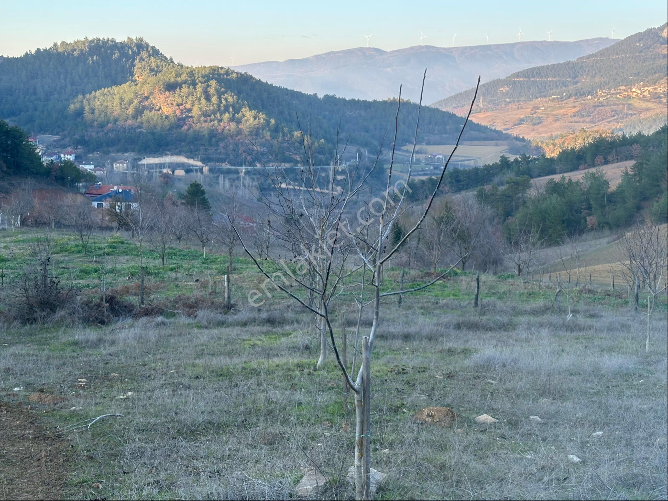 Geyve Ilıca Satılık Tarla Hakan Gayrimenkul'den Sakarya Geyve Ilıca Mah Doğa Manzaralı Arazi