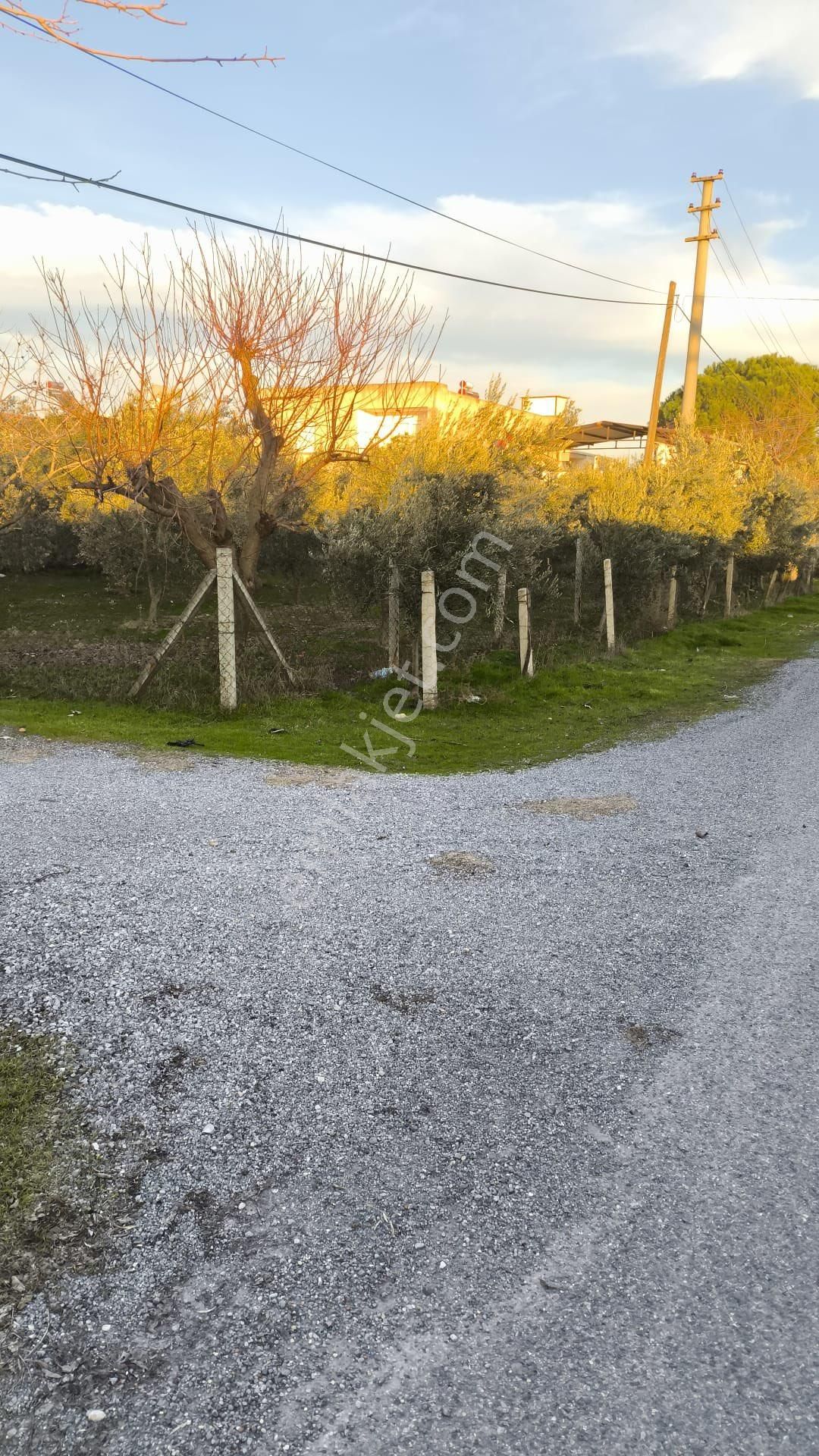 Akhisar Beyoba Satılık Villa İmarlı Akhisar Beyobada Satıkılık İmarlı Arsa